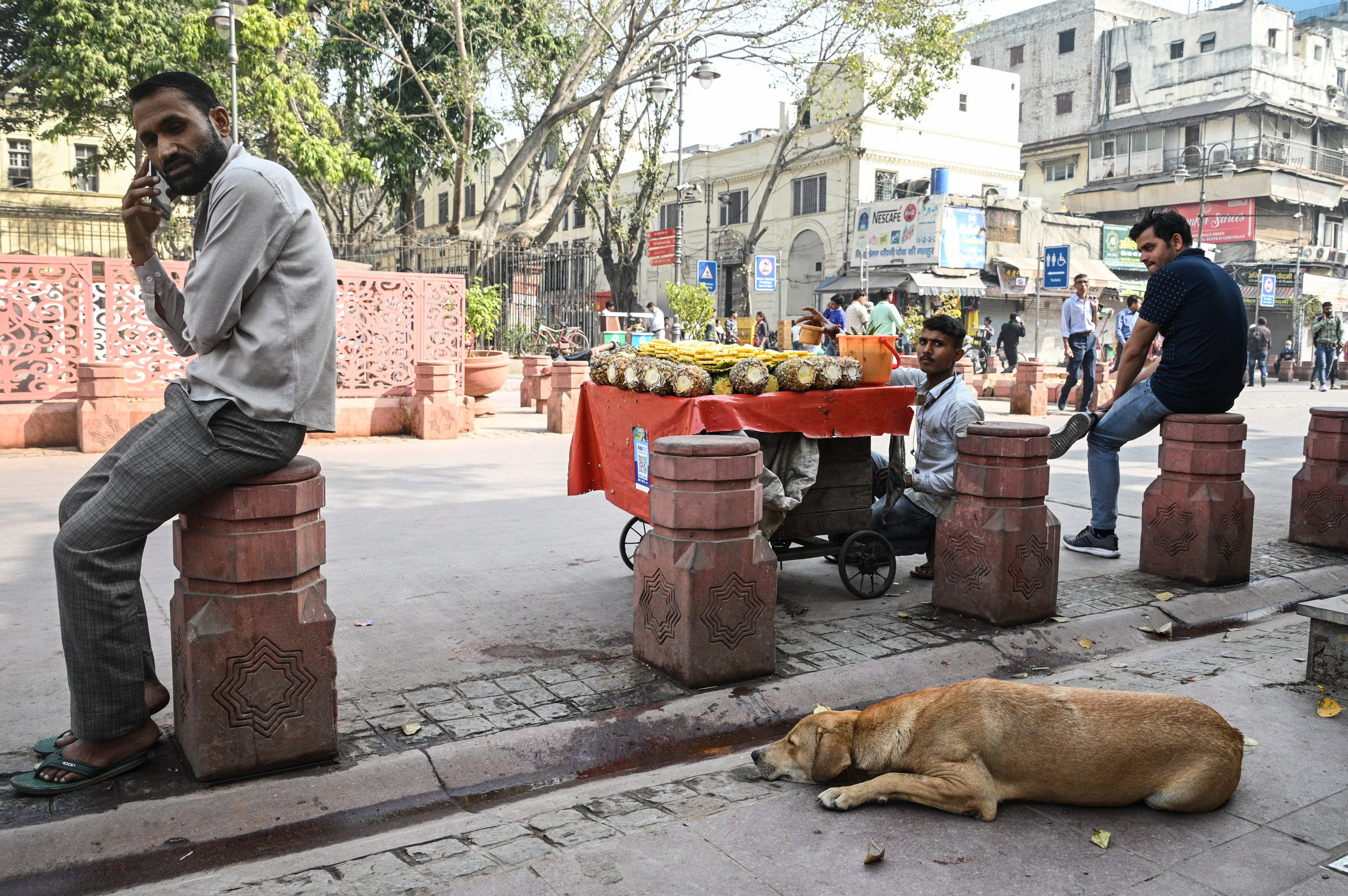 Невероятная Индия. Игорь Иванко — Репортажный и событийный фотограф. Москва