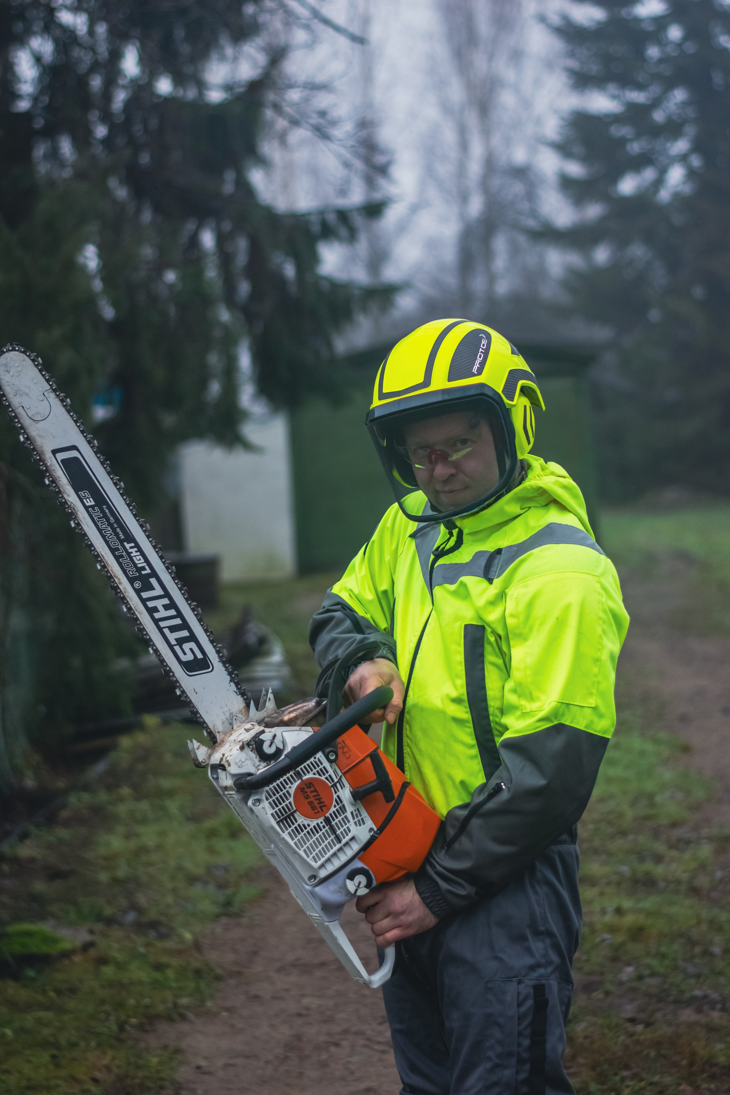 Спил деревьев. Аrbori Culturist