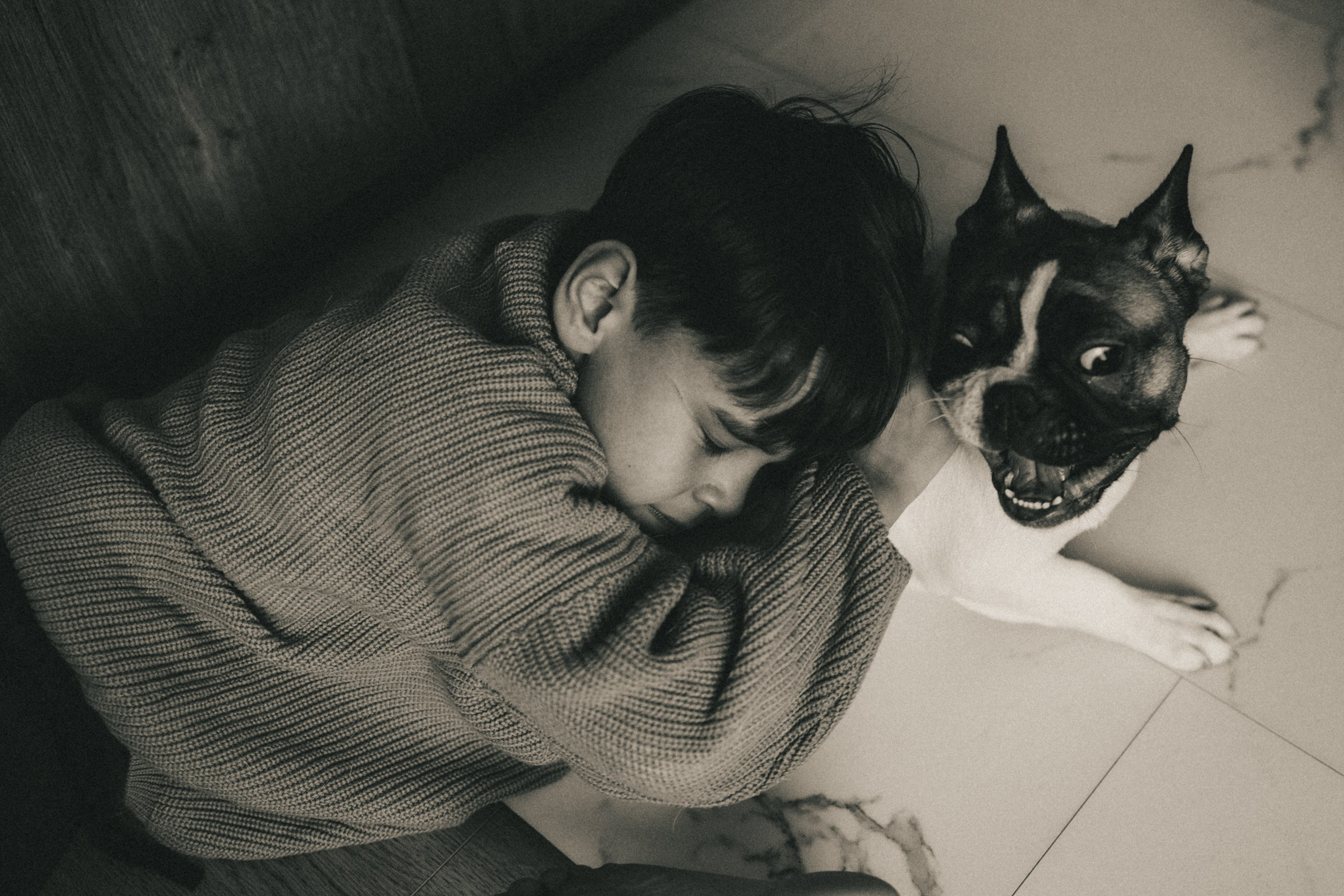 Руслан, Тимур и Луна. Семейный фотограф Москва