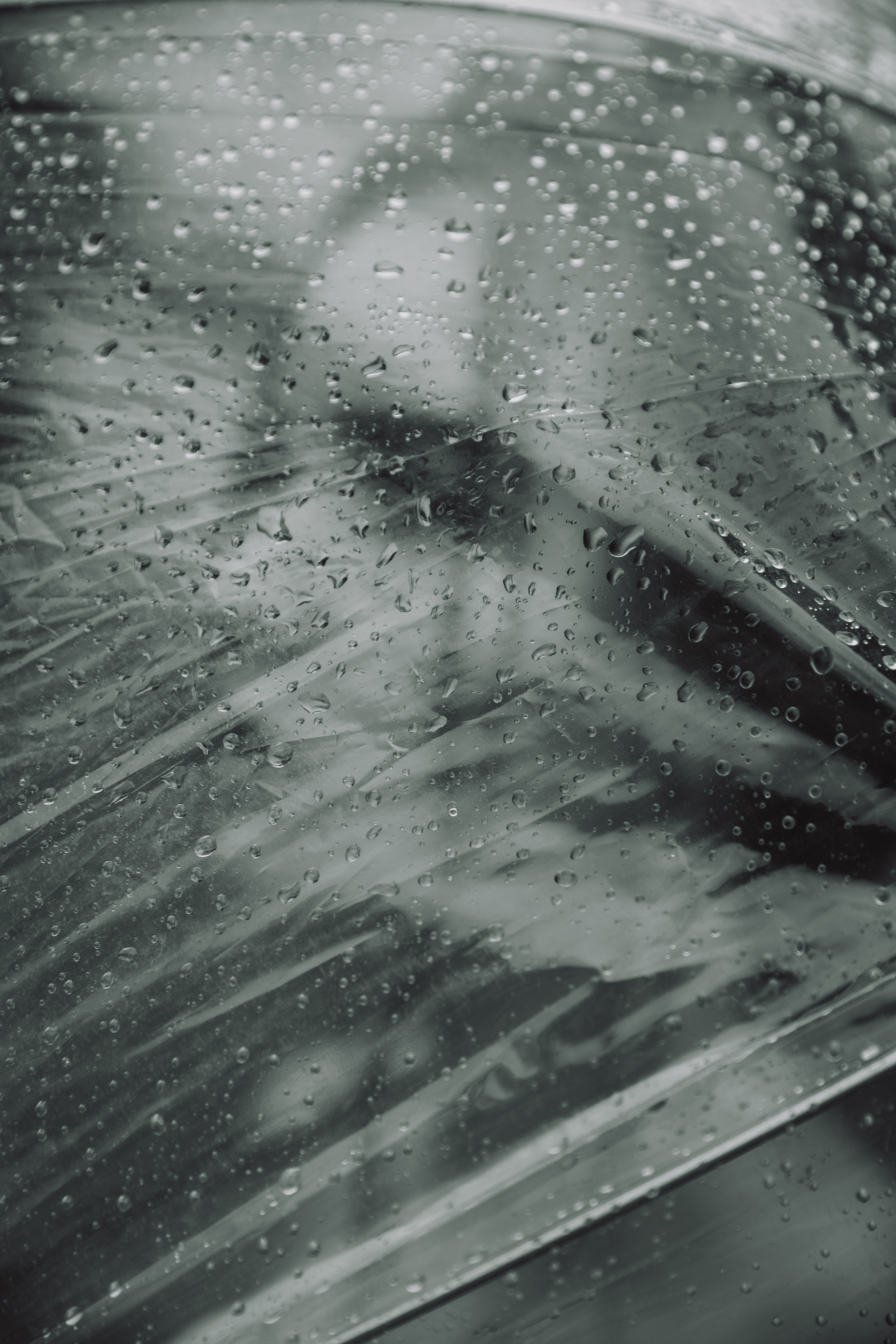 Анастасия. Свадебный и семейный фотограф Егорова Юлия