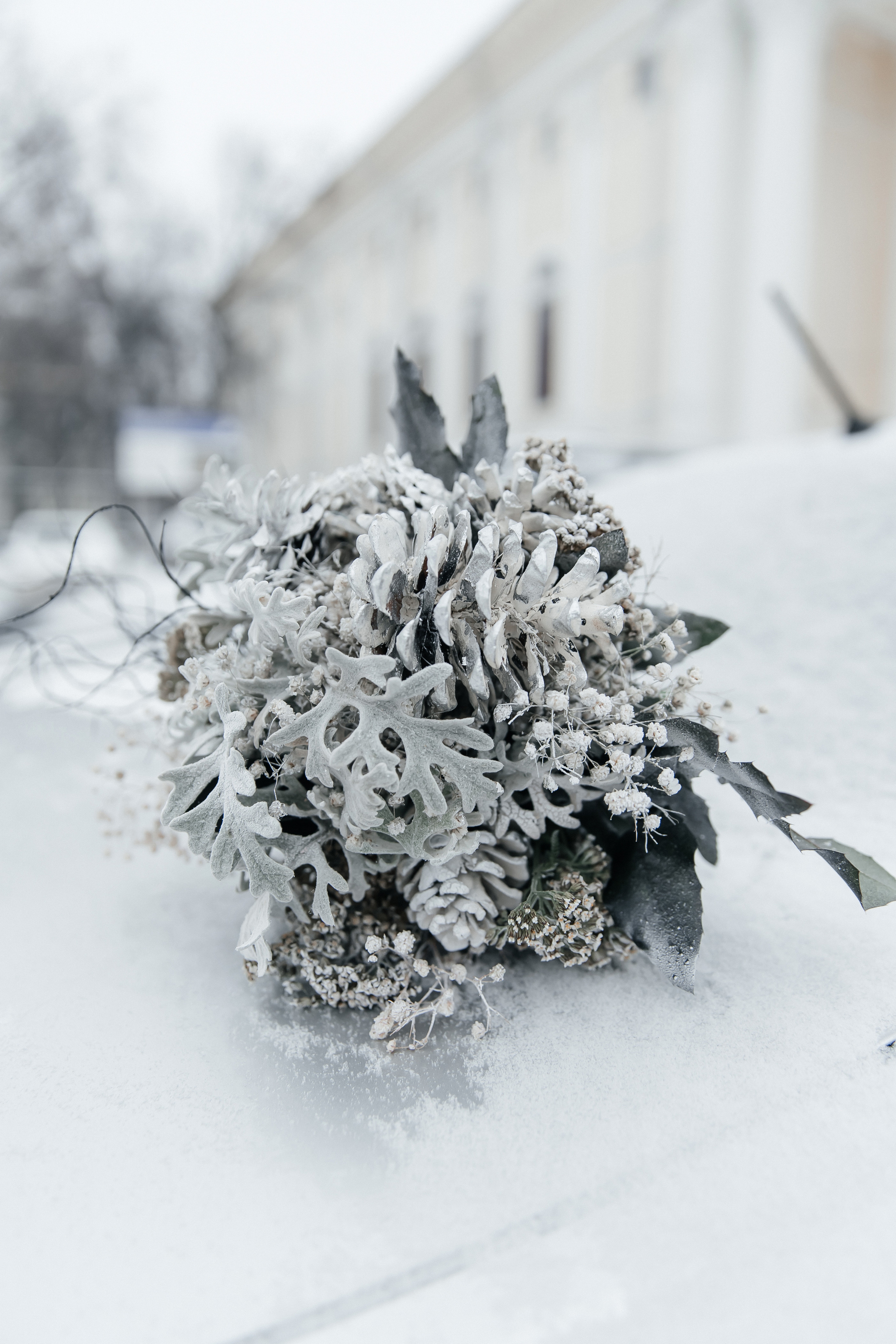 Диана. Свадебный и семейный фотограф Егорова Юлия