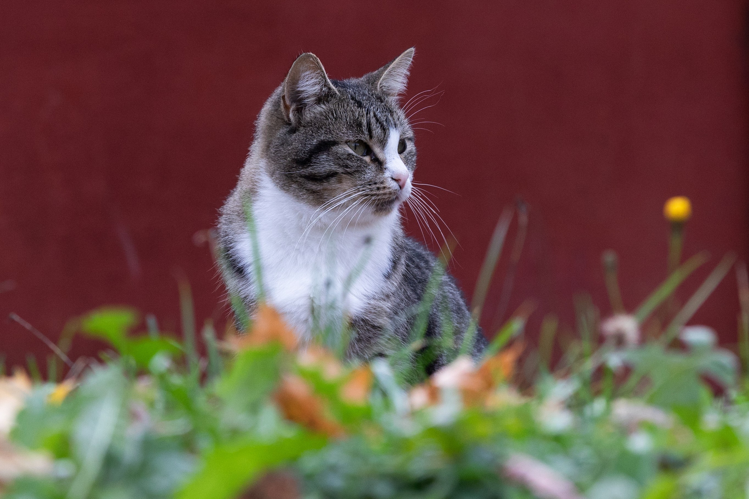 Жители города Х — Фотограф Анна Зиновьева. Фотограф Анна Зиновьева