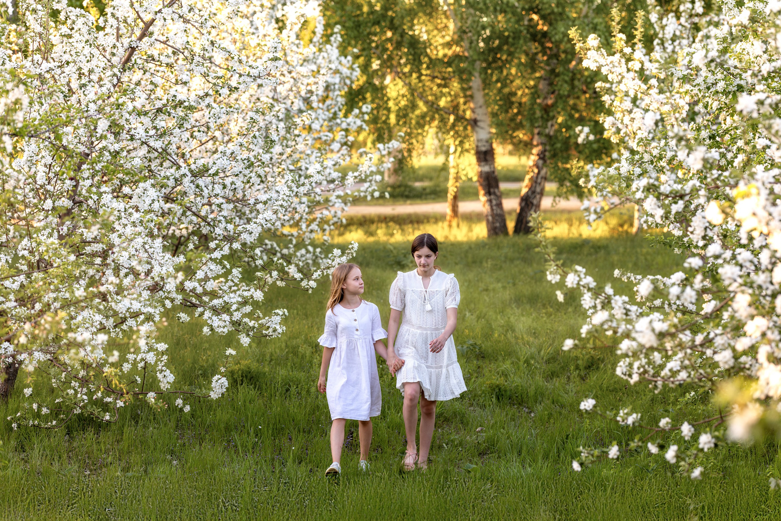 Яблоневый сад. Семейный и детский фотограф в Красноярске, Дивногорцева Светлана
