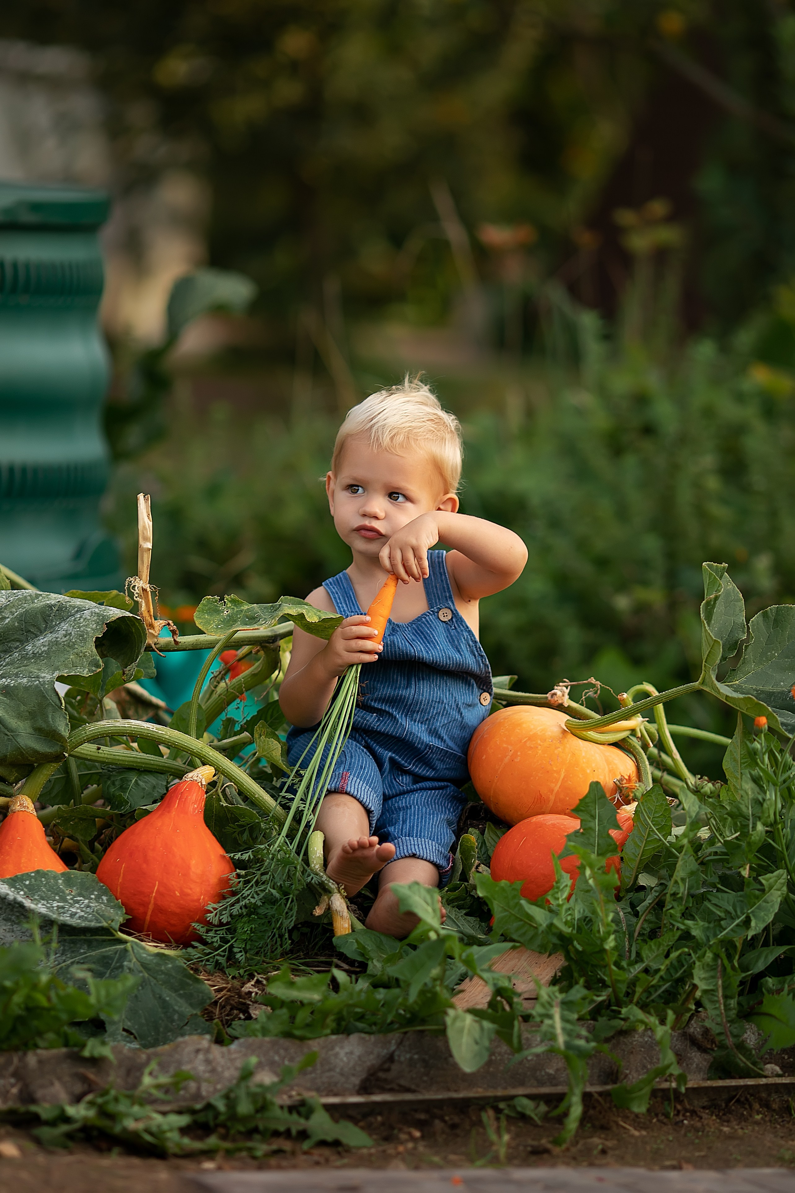 Лето. Главная