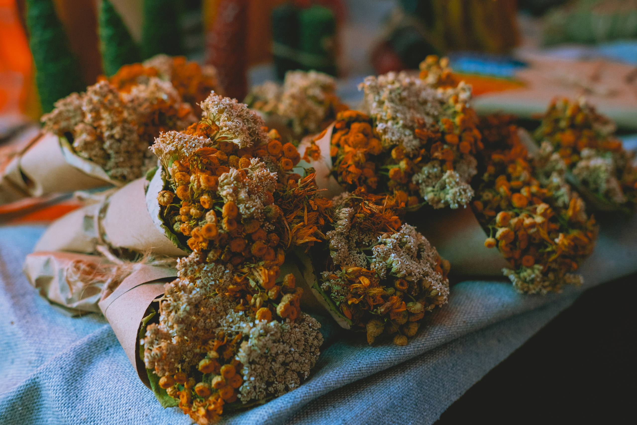Мехенди-встреча. Портретный и семейный фотограф в СПб Марья Туранова