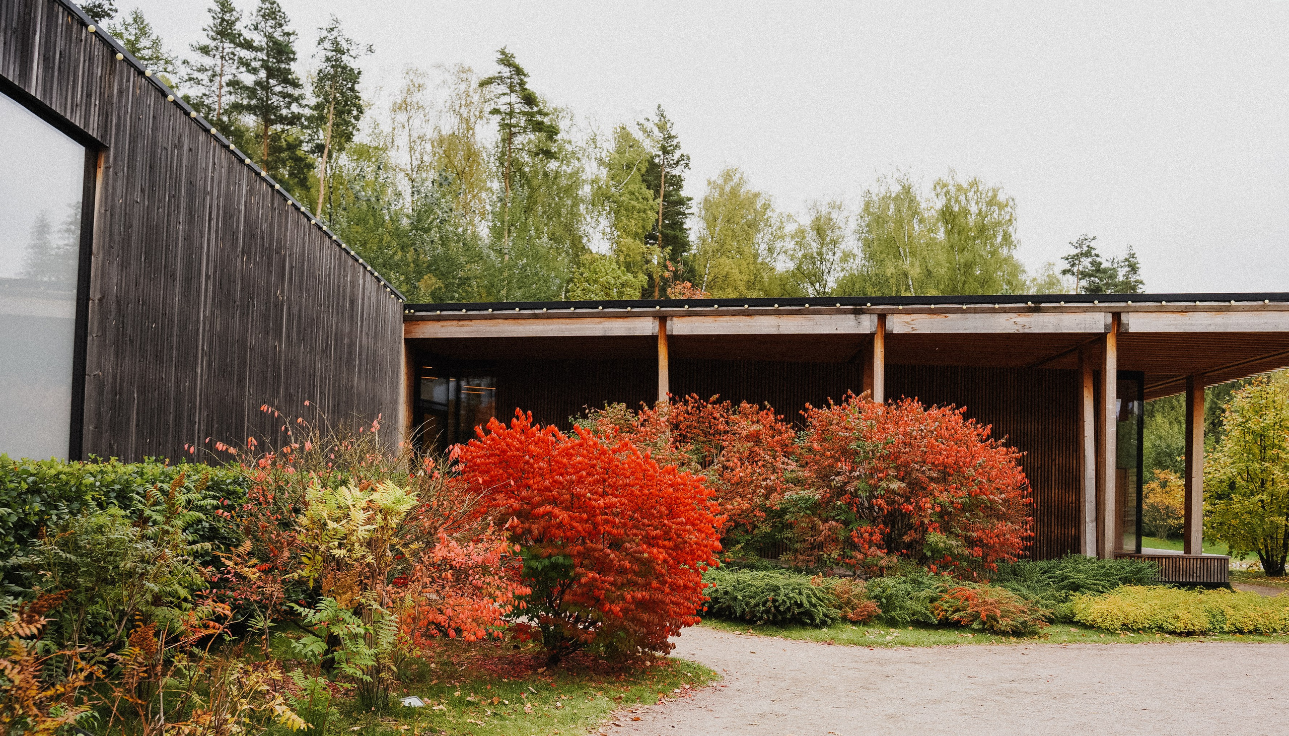 Осень 2025. Фотограф из Москвы — DASHA NOVA | Авторская фотография в разных жанрах