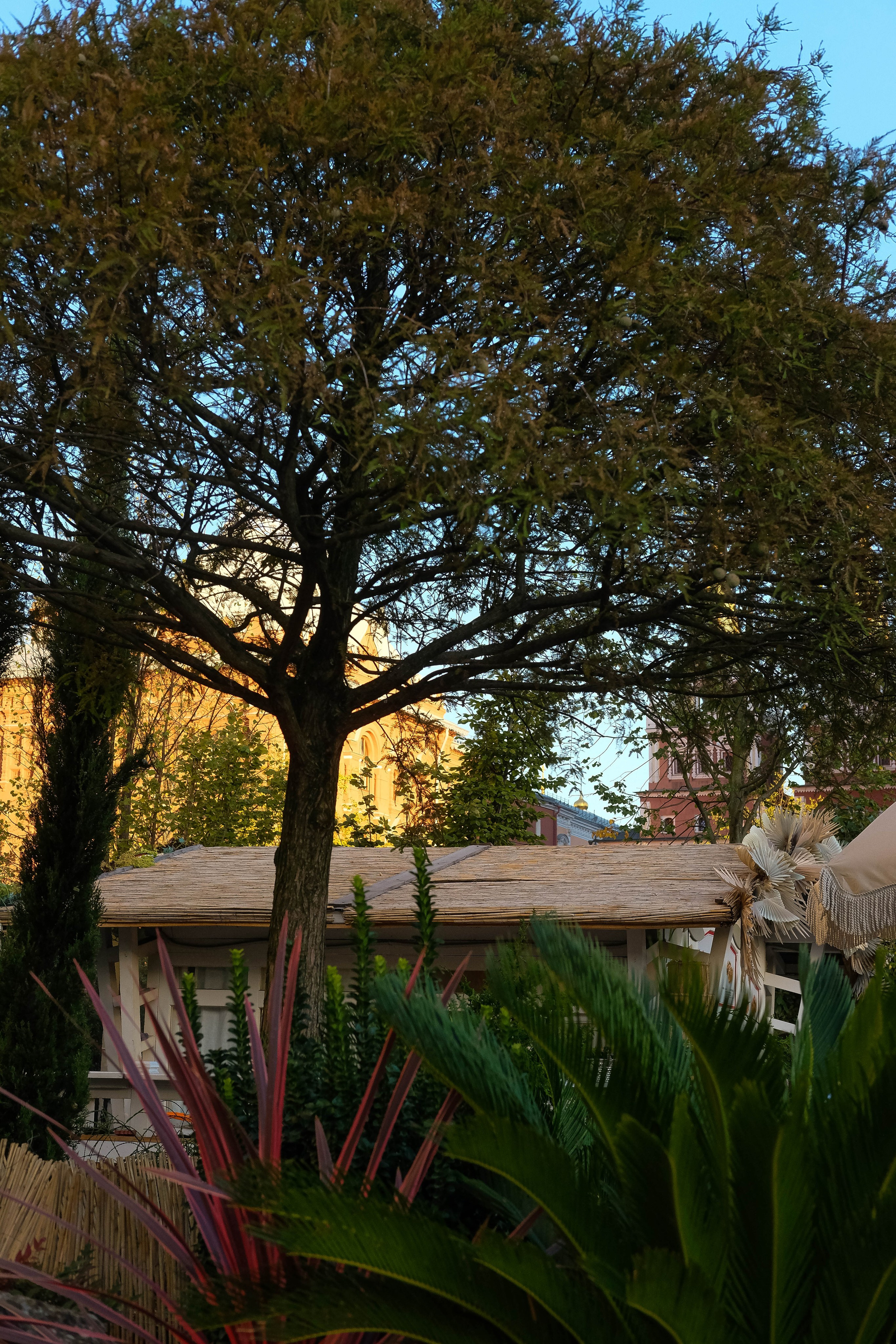 Москва 2024. Свадебный и семейный фотограф в Новосибирске, Санкт-Петербурге, Москве