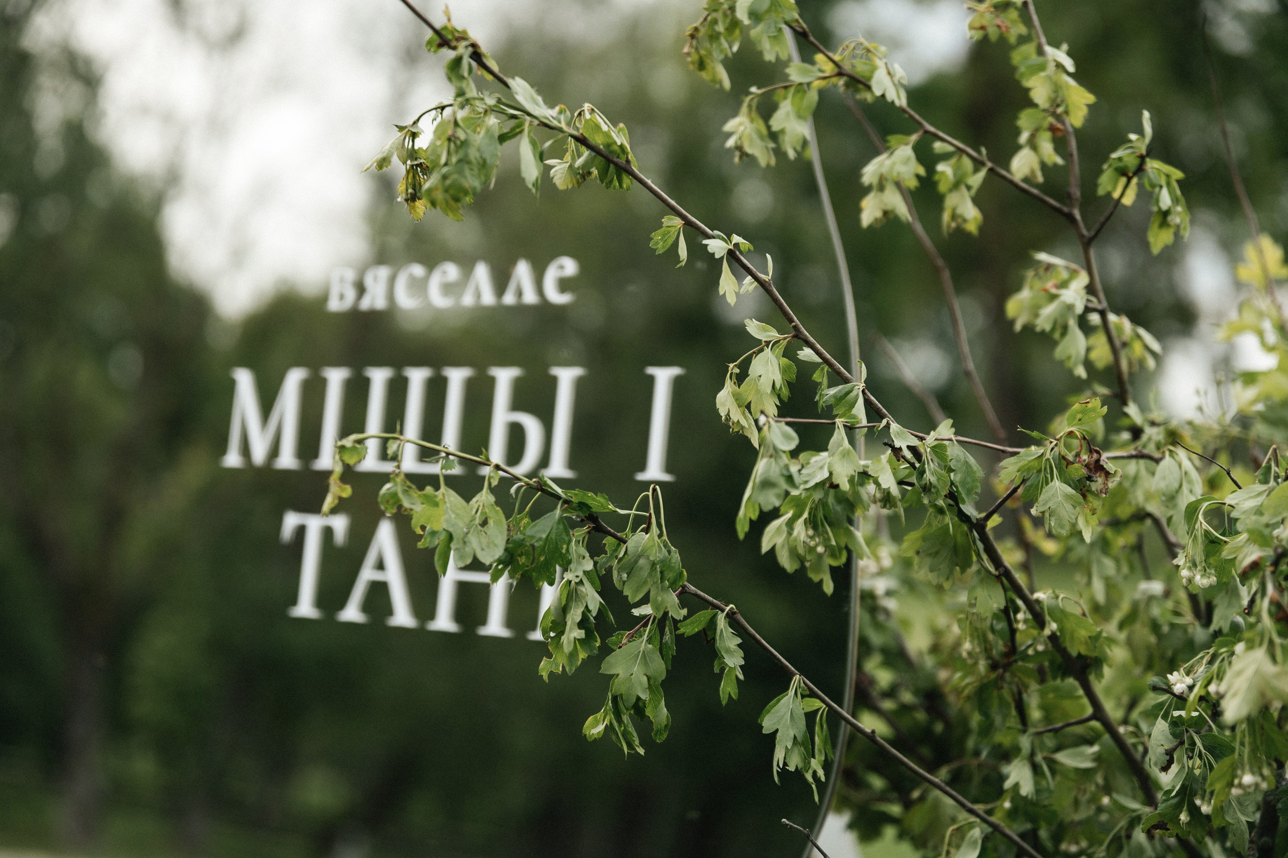 СВАДЕБНЫЕ СЕРИИ. СВАДЕБНЫЙ И РЕПОРТАЖНЫЙ ФОТОГРАФ | МИНСК, БЕЛАРУСЬ| ЮЛИАНА ВАСИЛЬКОВА