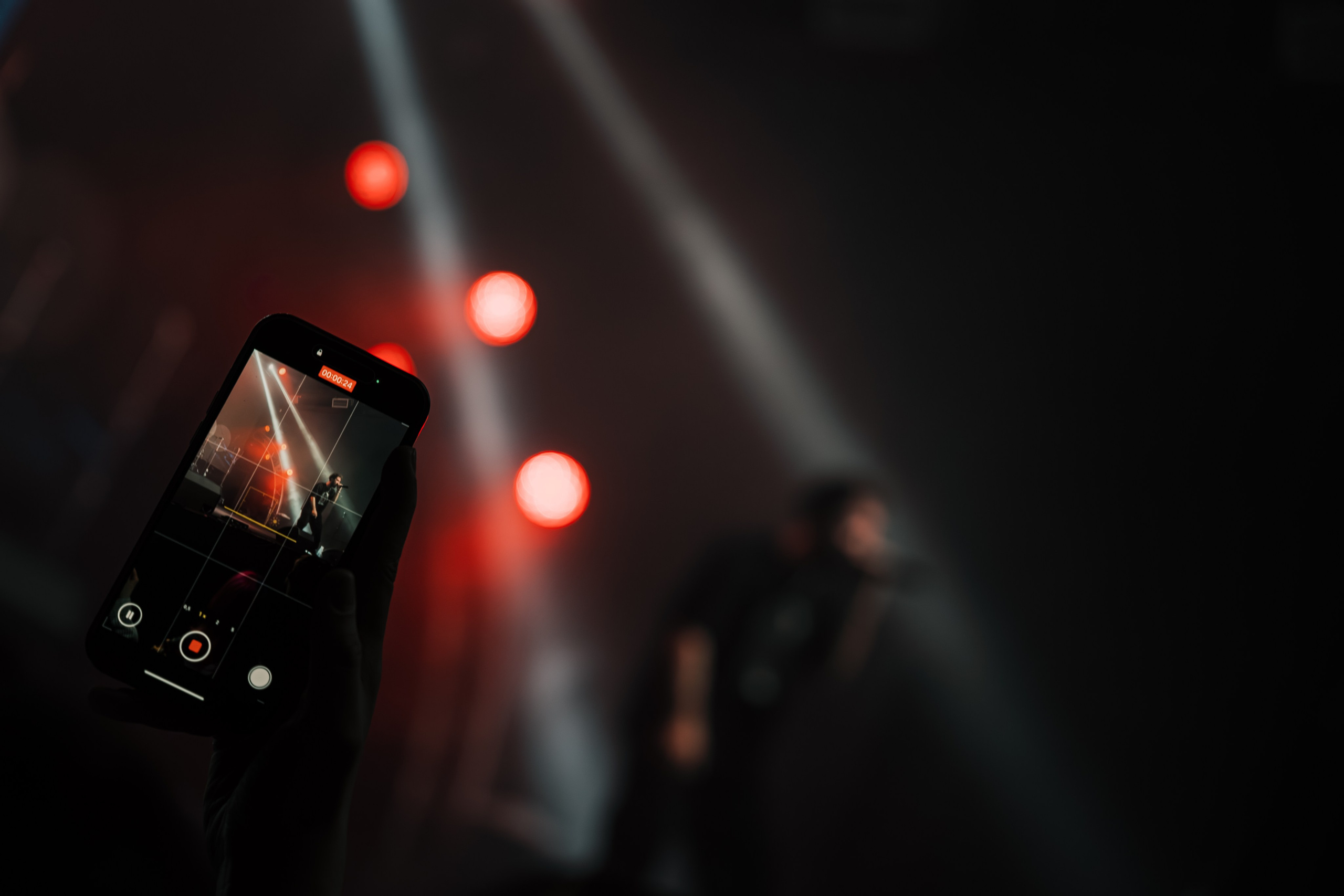 STED.D. Фотограф Санкт-Петербурга