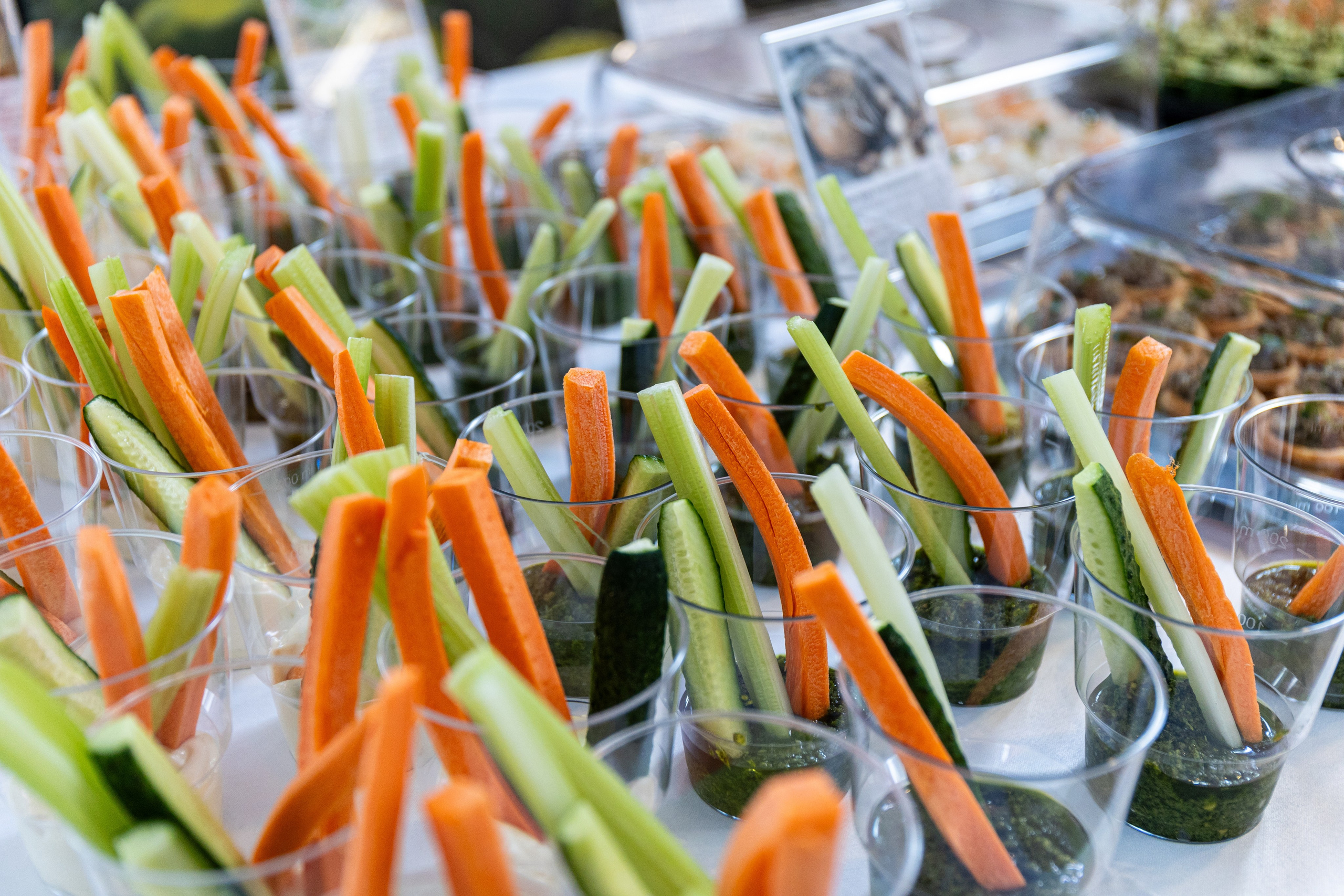 Сладкая жизнь. Стираем границы 2024. Фотограф Нижний Новгород