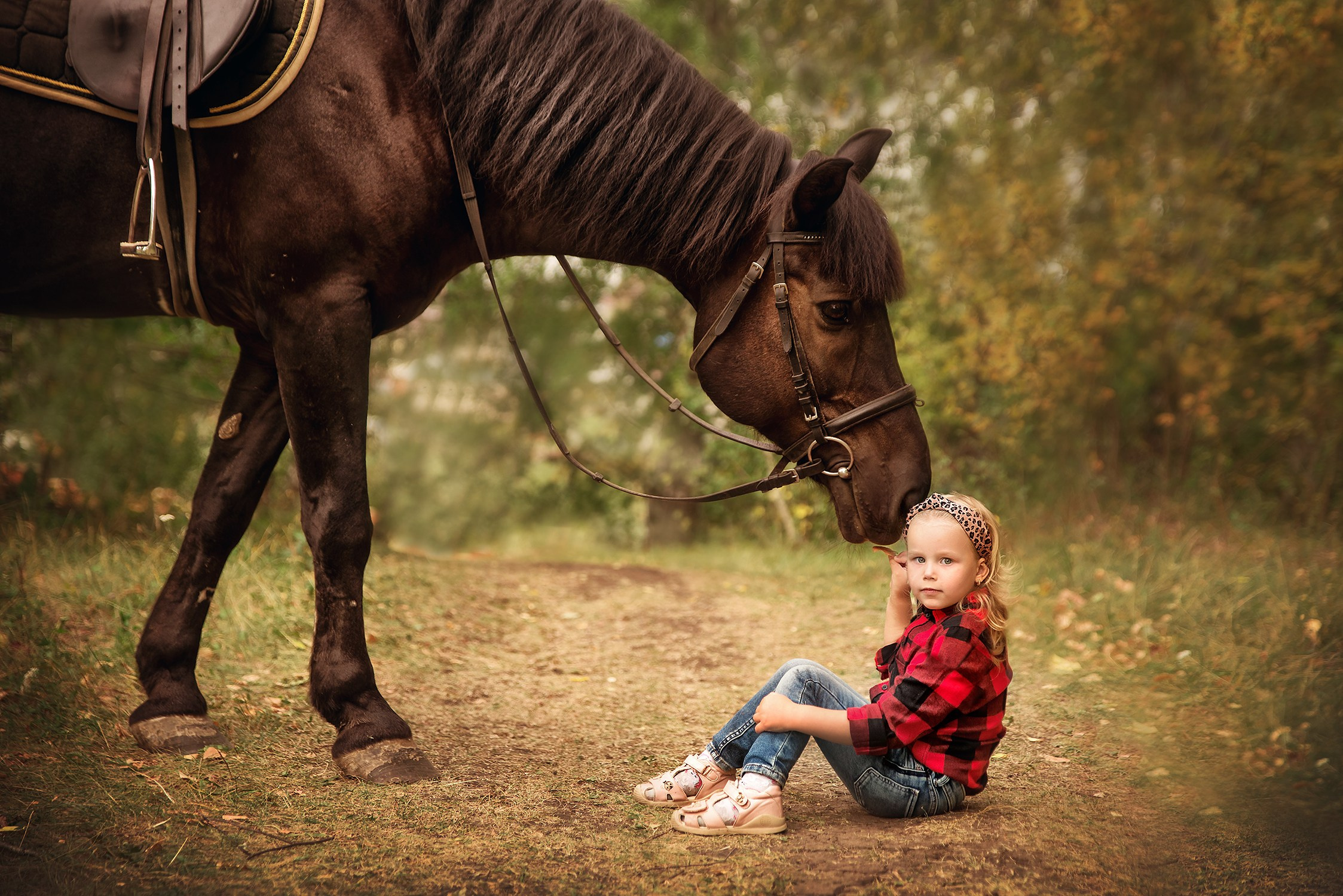 Главная. Контакты