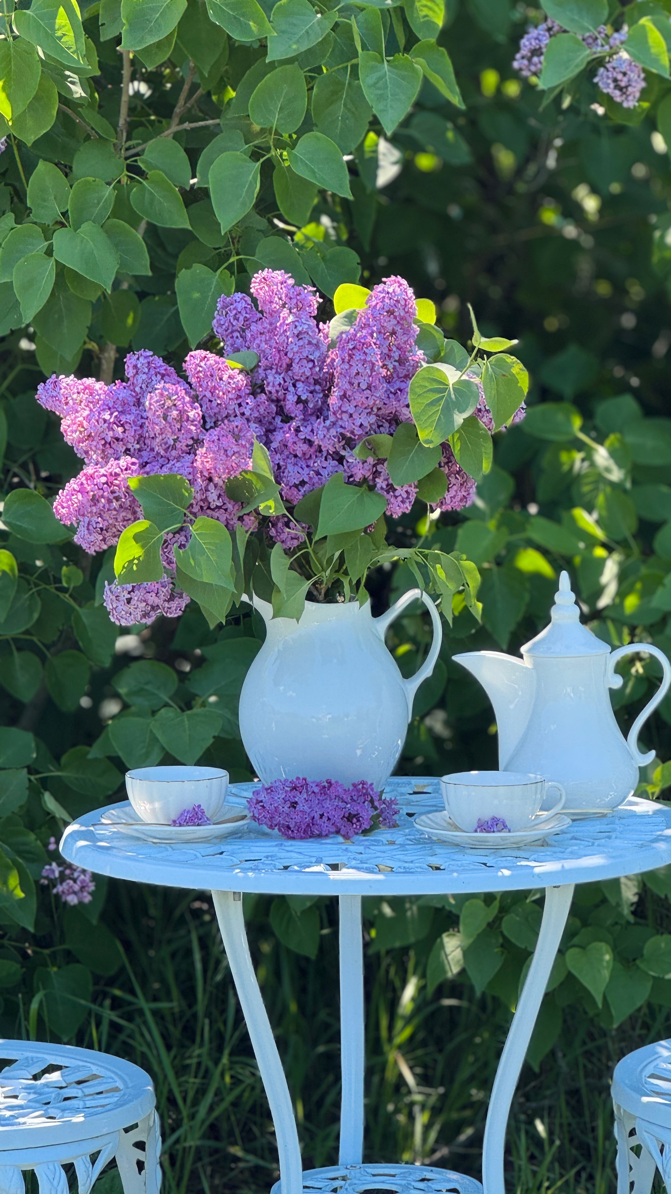 Цветение Весна. Фотостудия Натальи Забродской