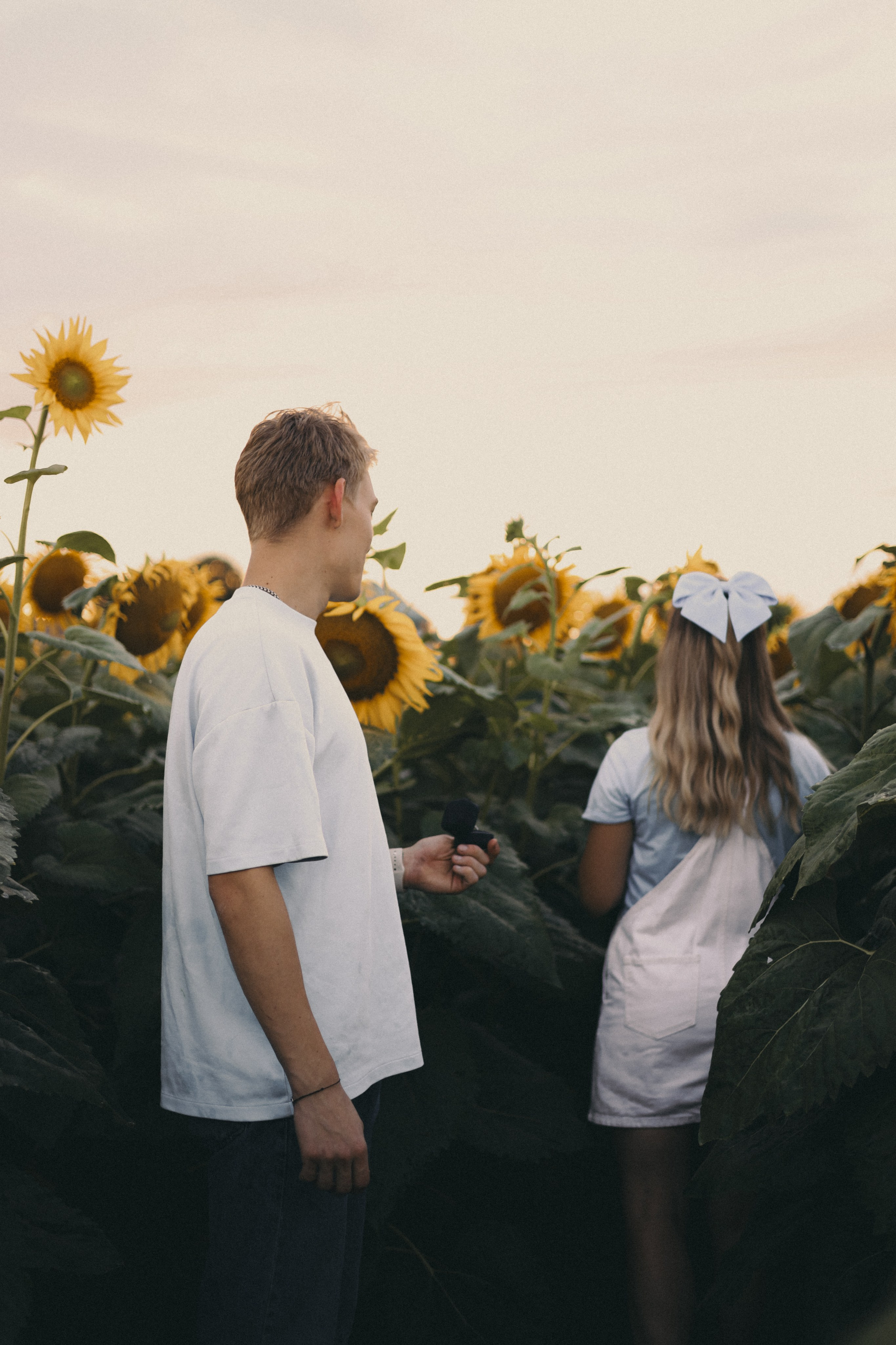 Михаил и Валерия | Подсолнухи. Фотограф Мария Лаенко