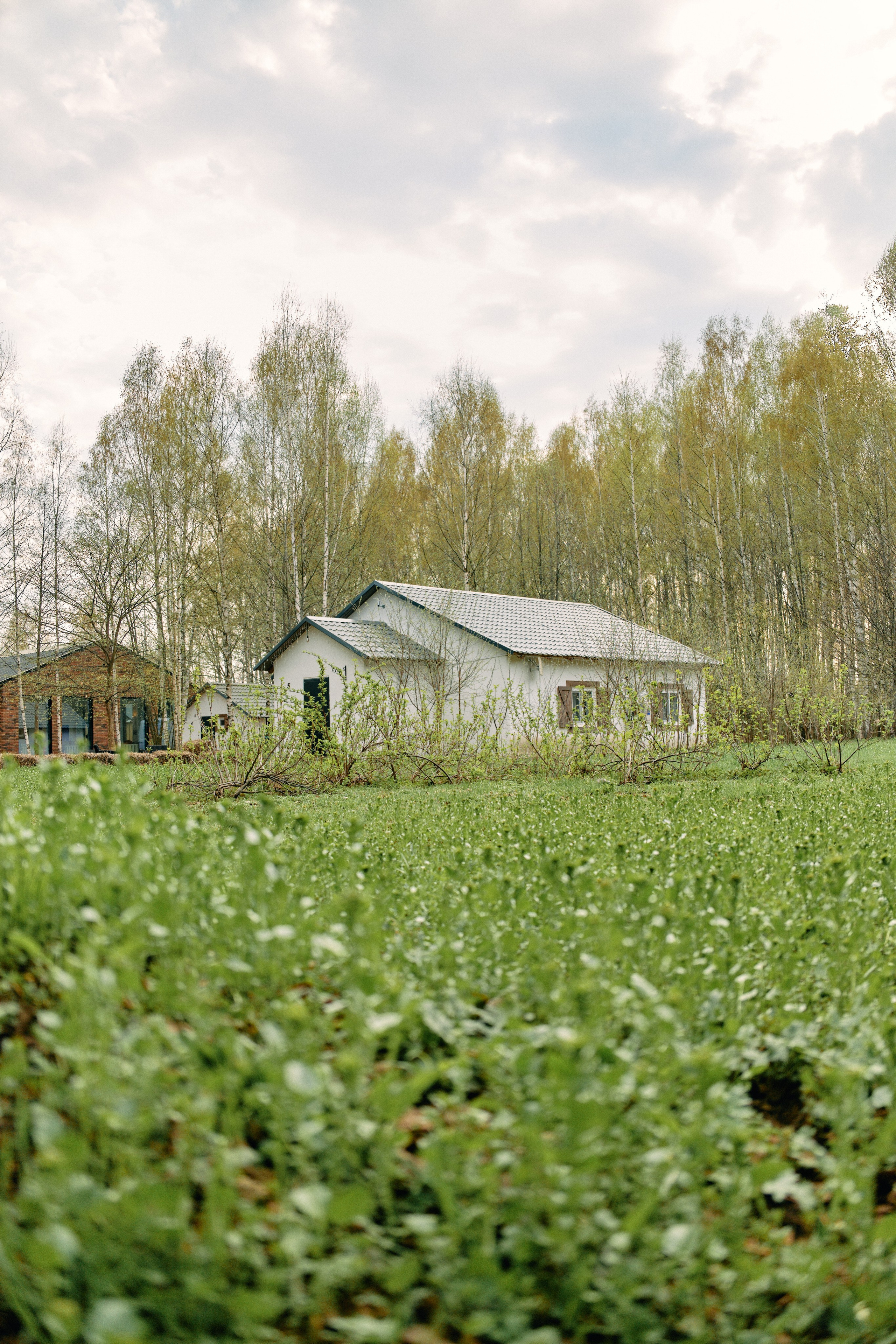 Бутик-отель Поле летом. Профессиональный Фотограф во Владимире, в Москве и в Суздале — Полина Романычева