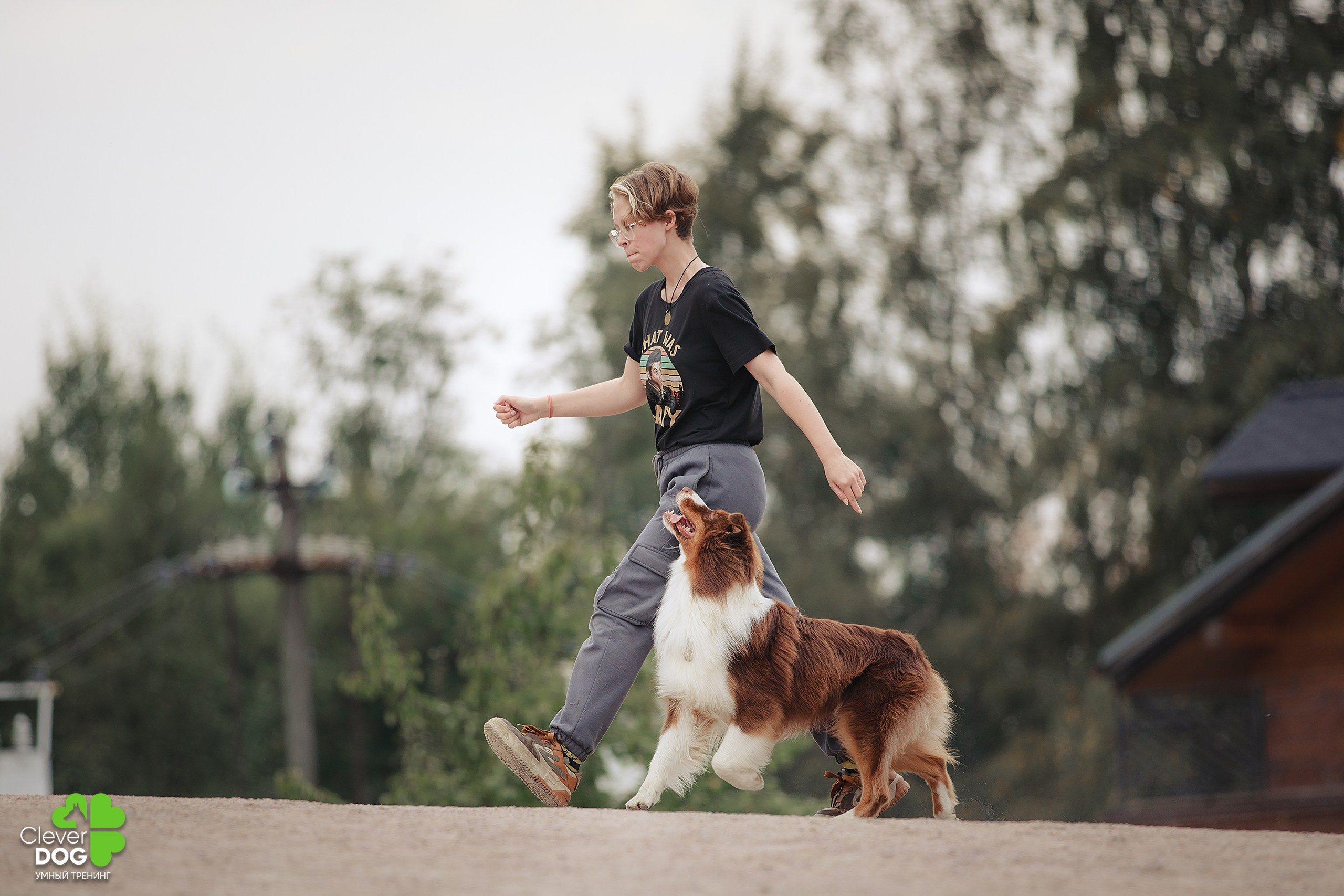 Кинологический лагерь CleverDog, 2024. Фотограф-анималист Mary Mart — Москва, Питер