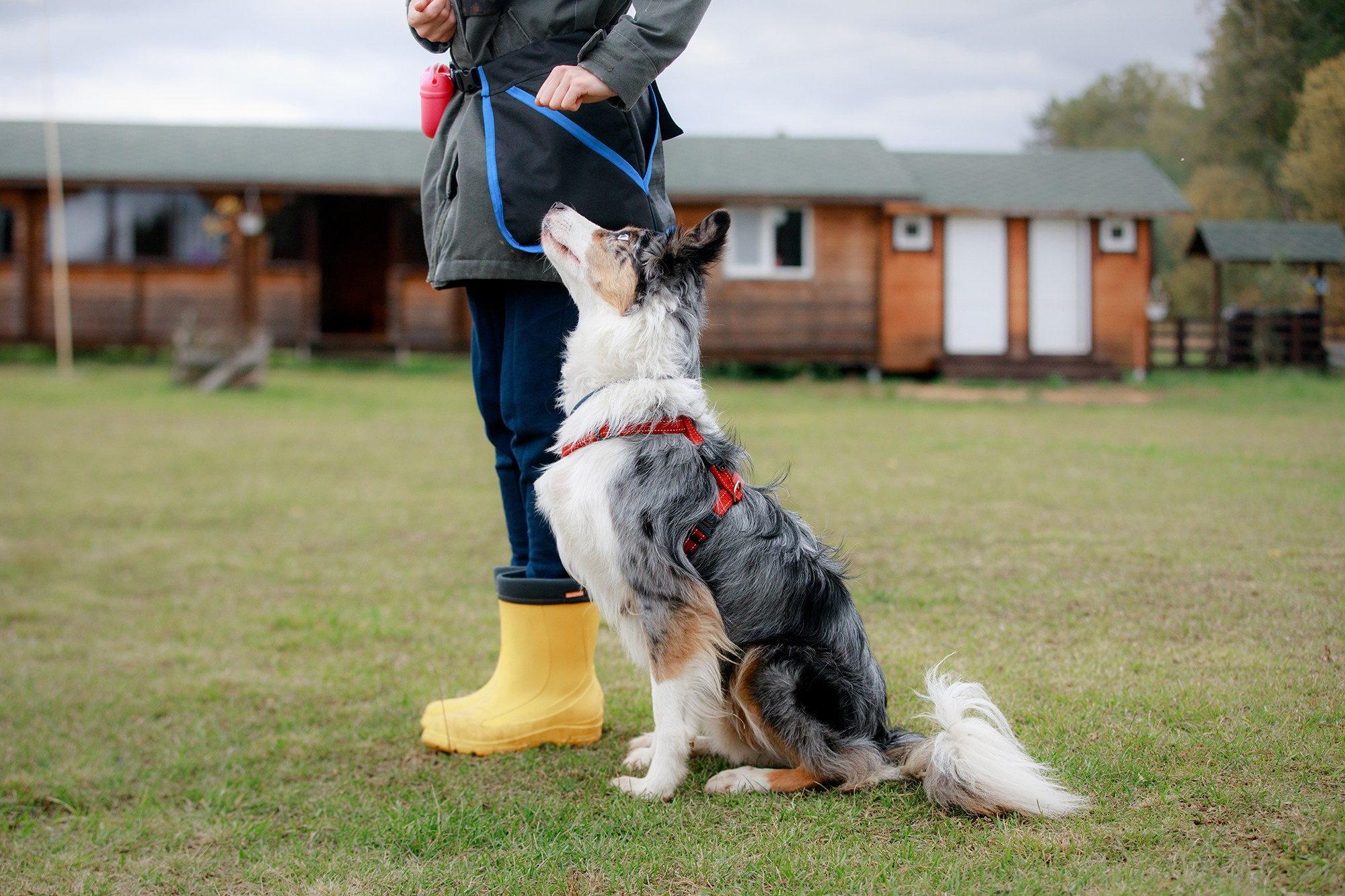 Лагерь по ОБД с Инной Баженовой. Фотограф-анималист Mary Mart — Москва, Питер