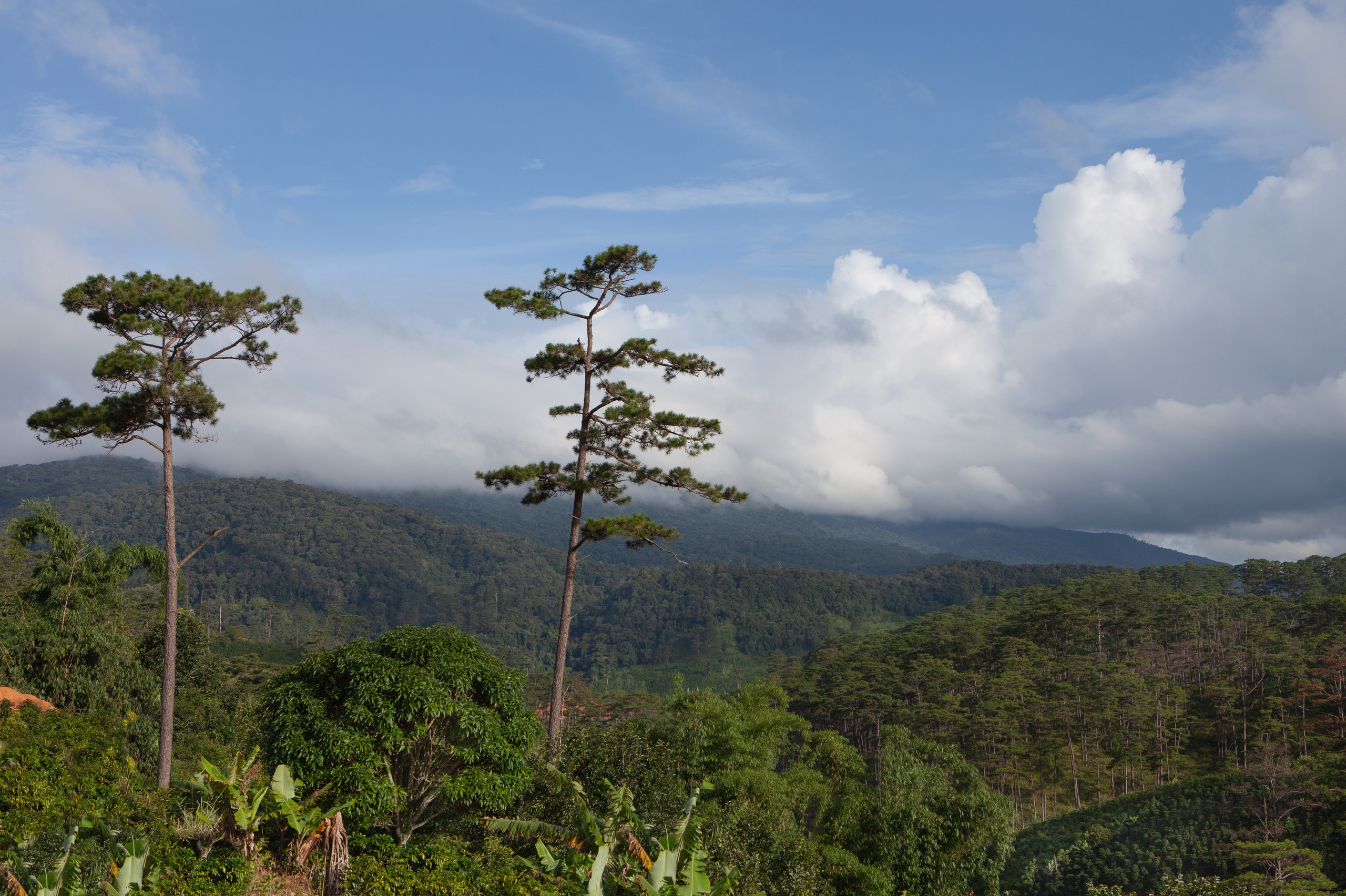 Вьетнам. Vinpearl Long Beach. Мой фотомир