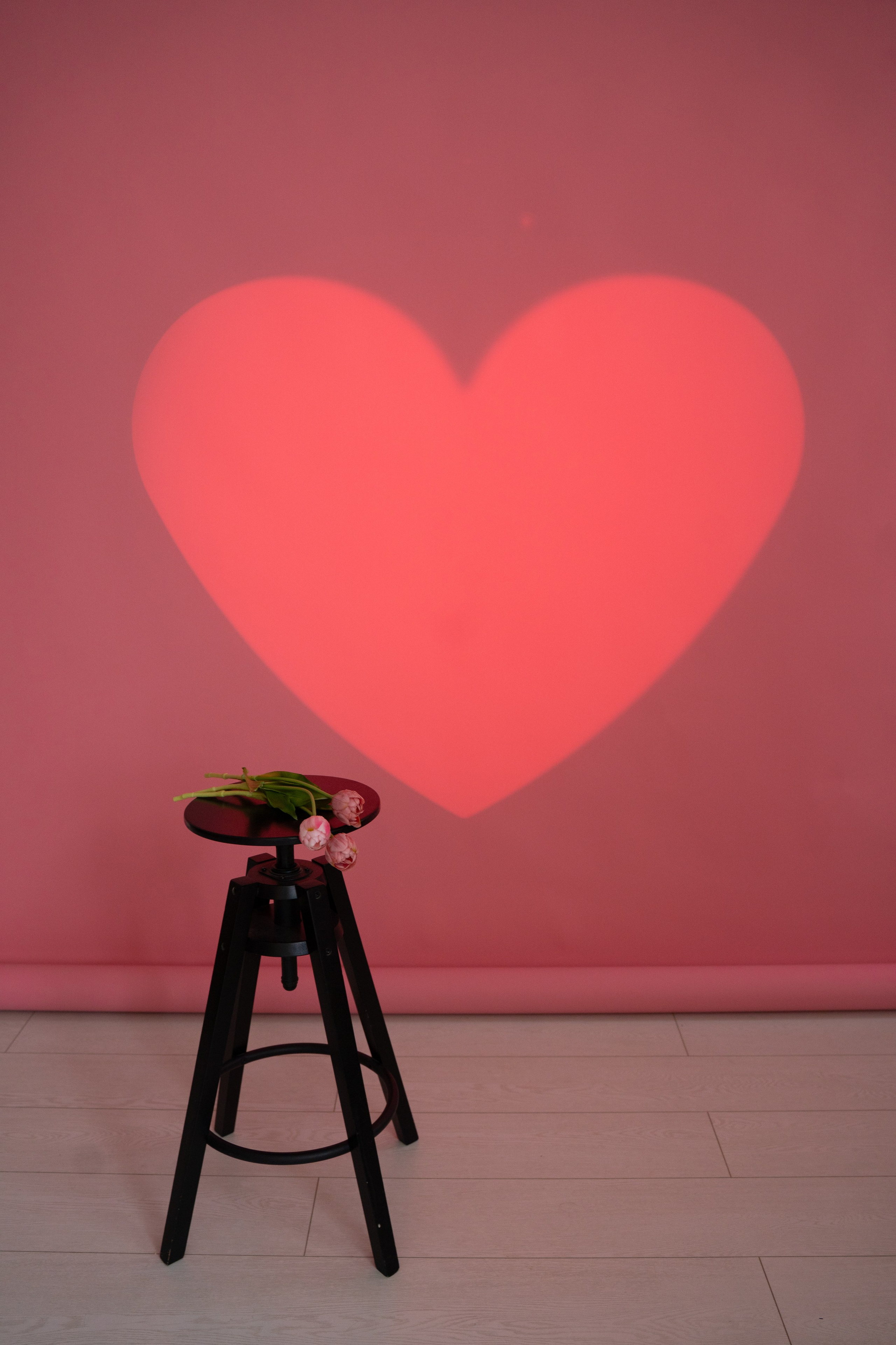 День Влюблённых. Фотостудия в Люберцах