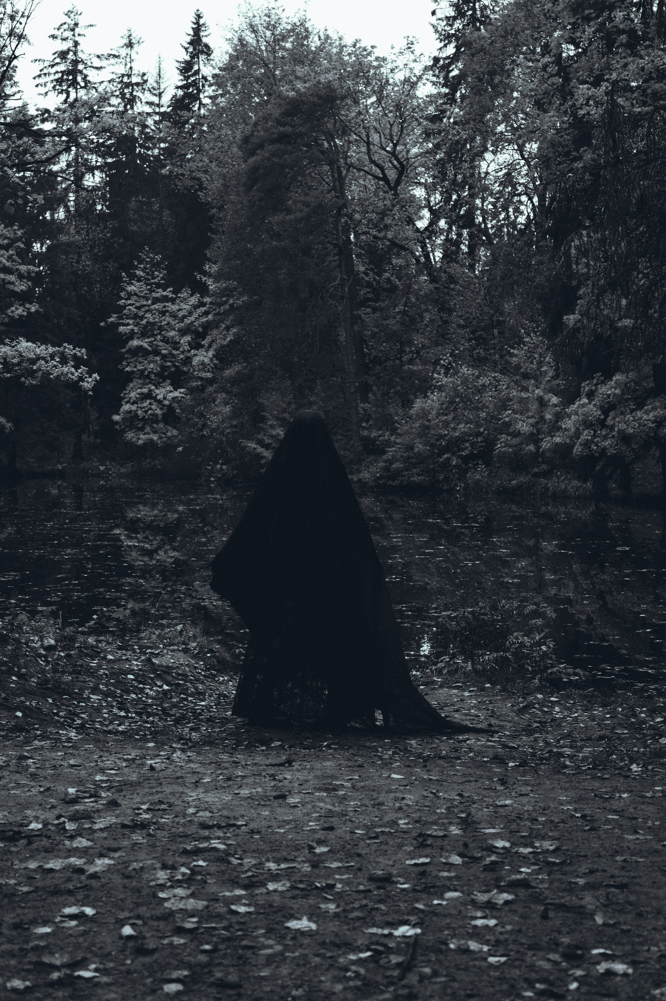 Вдохновление утренним туманом. Ваагн Малхасян | Фотограф | Санкт-Петербург. Создаю атмосферные кадры