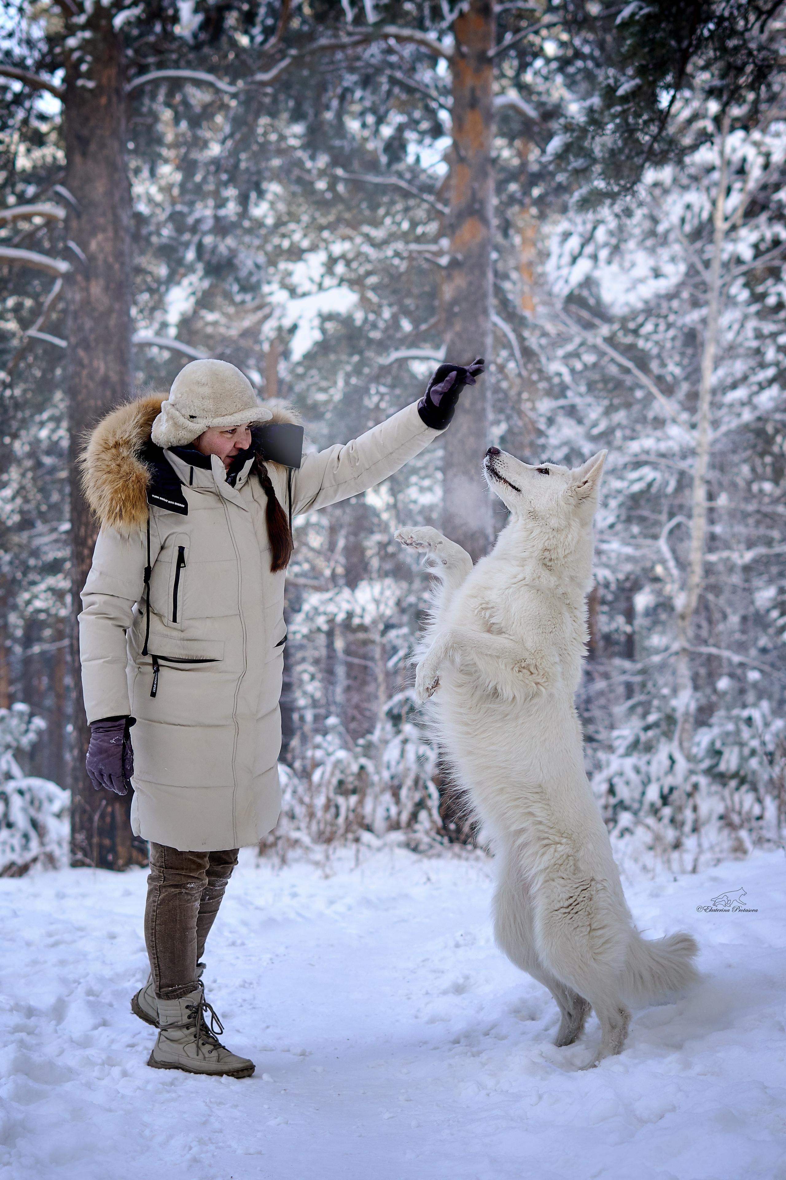 Ксения и ее овчарки. Фотограф-анималист в Иркутске