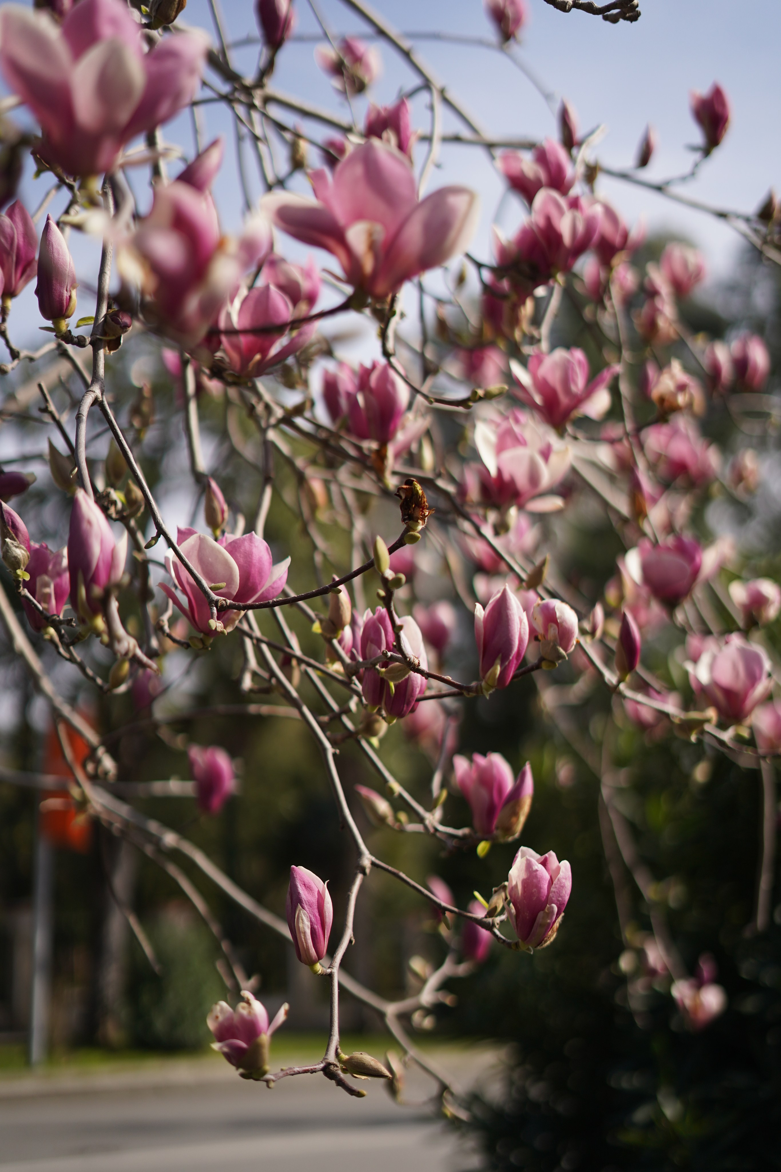 Сухум и окрестности