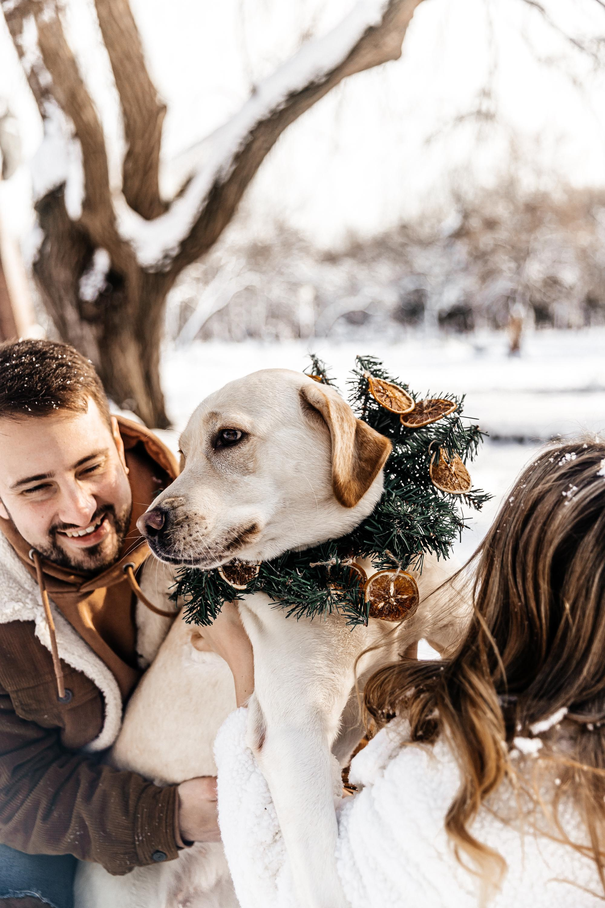 Снежное безумие. Свадебный и семейный фотограф Харольцева Наталья
