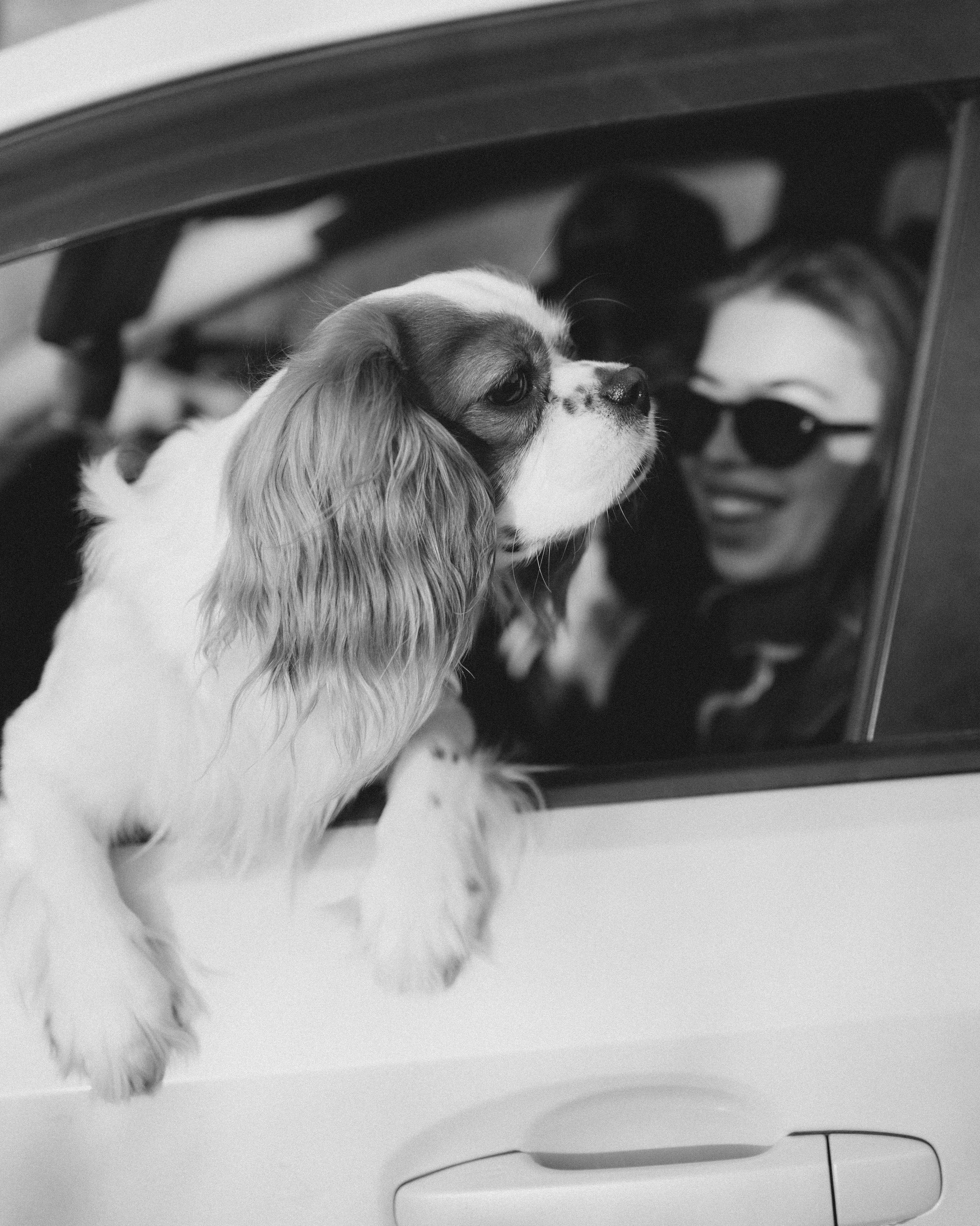 Кирилл и Мелания. Фотограф Виктория Куприянова