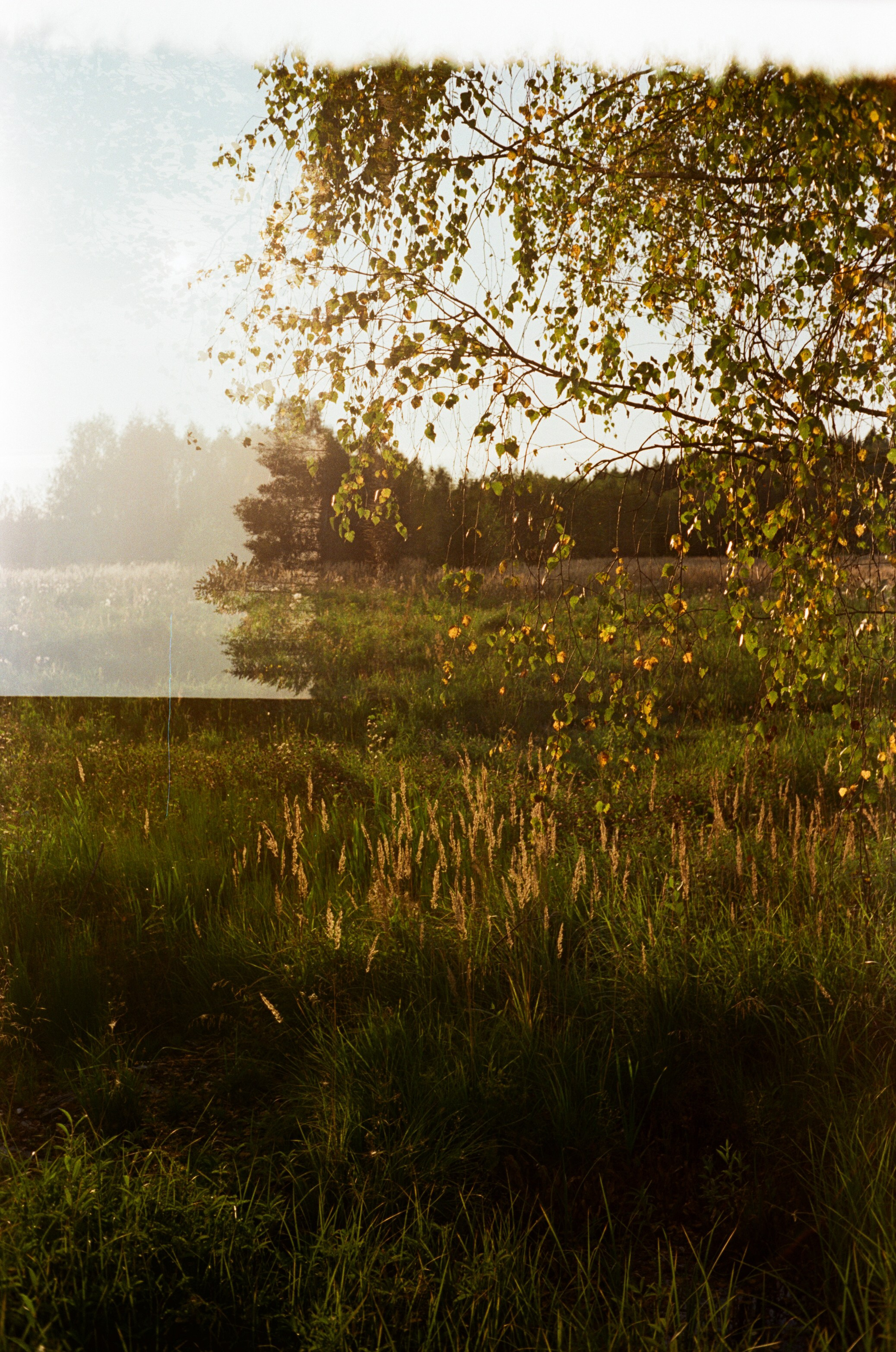 Minolta Hi-Matic 7SII примеры фотографий