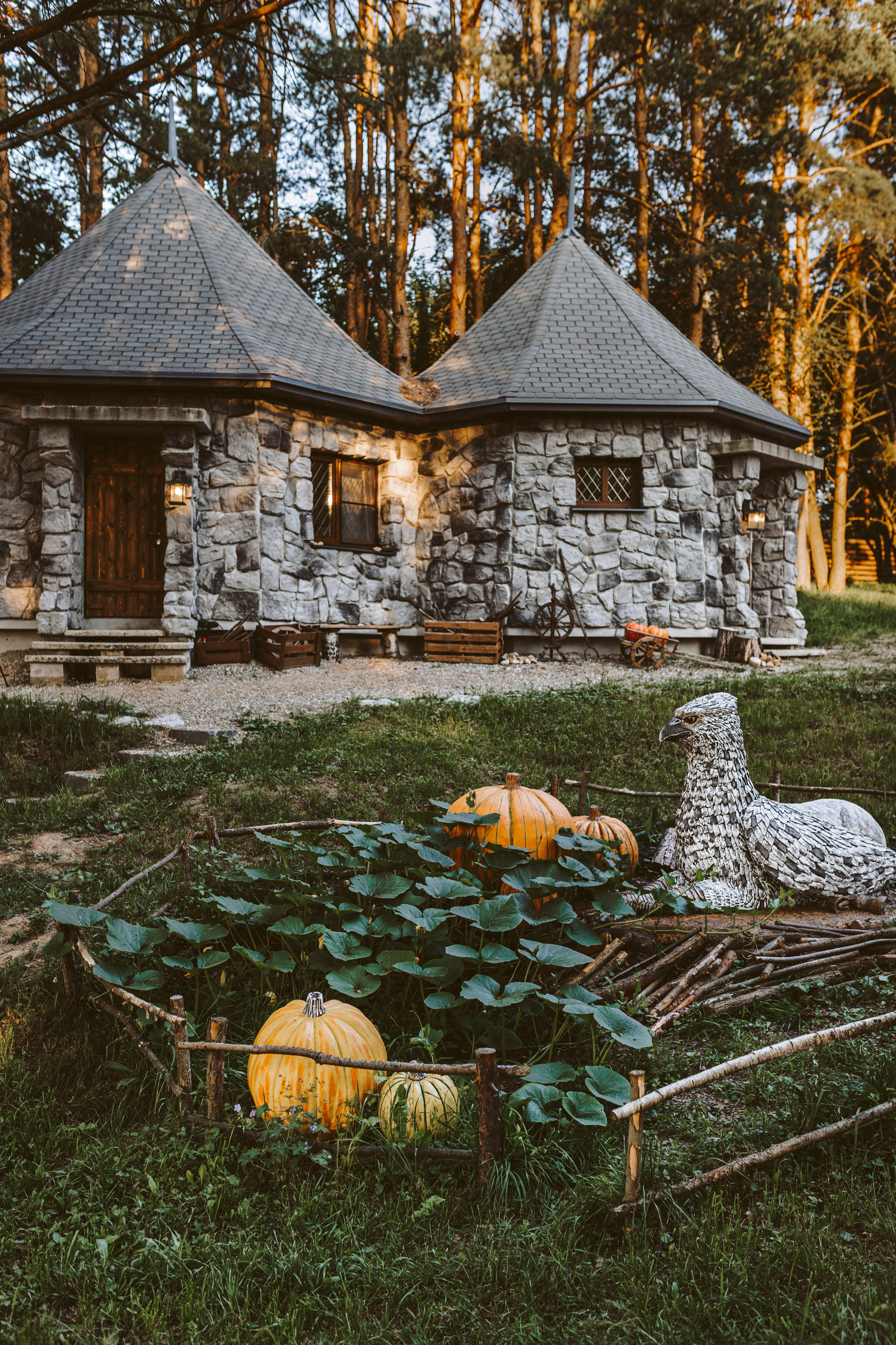 Хижина Хагрида. Свадебный фотограф Курзина Ольга | Москва