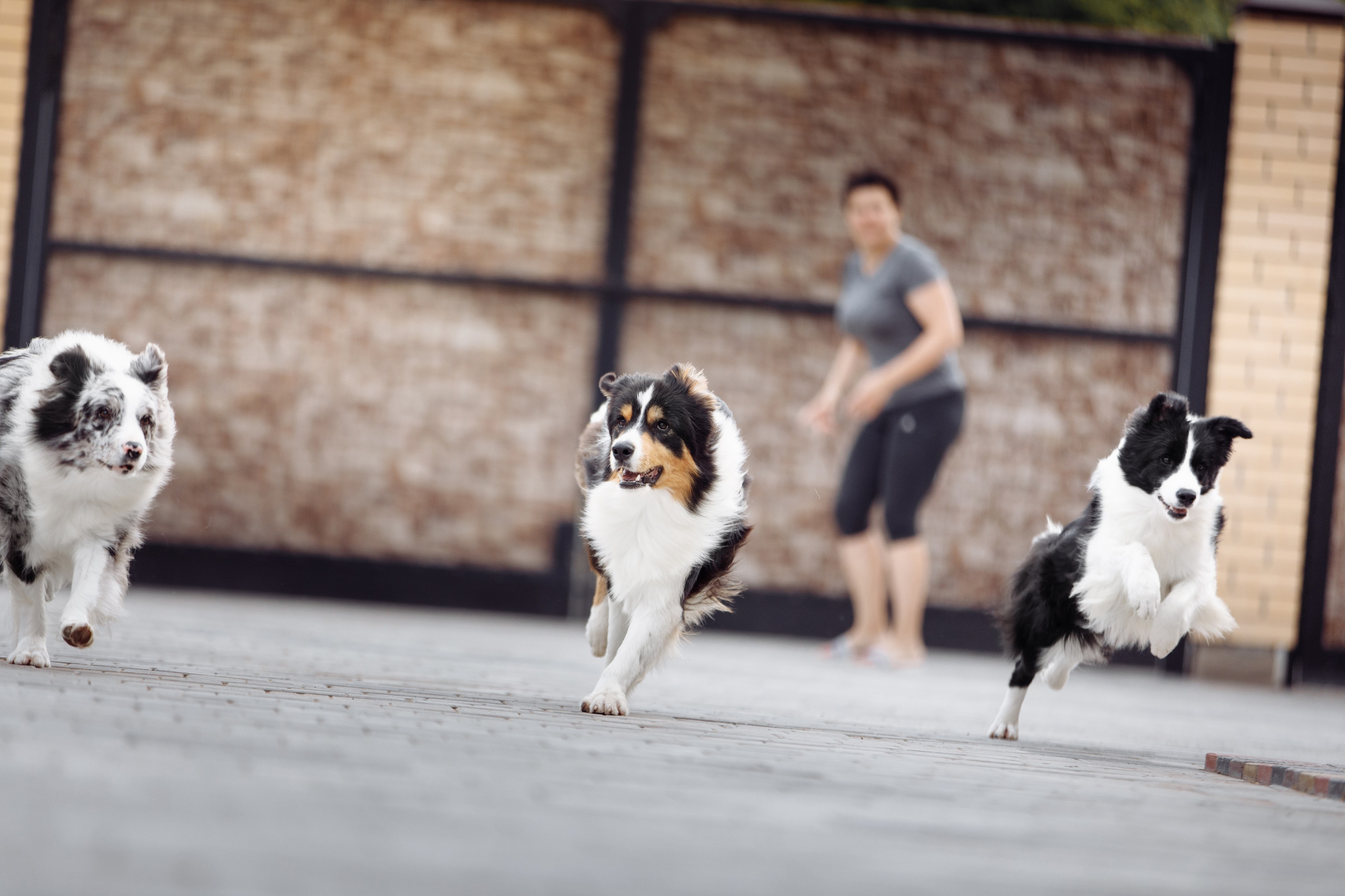 Свое место. О нас