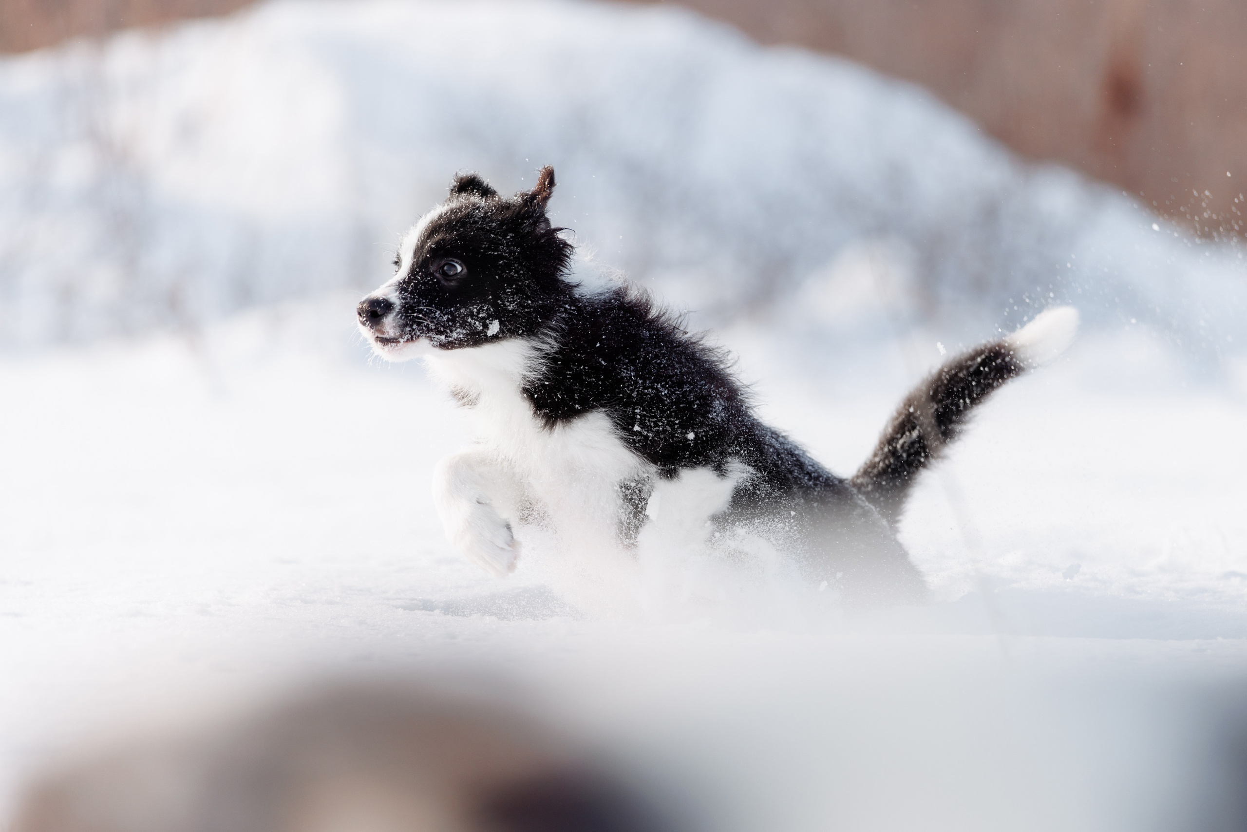 Яркий январь. О нас