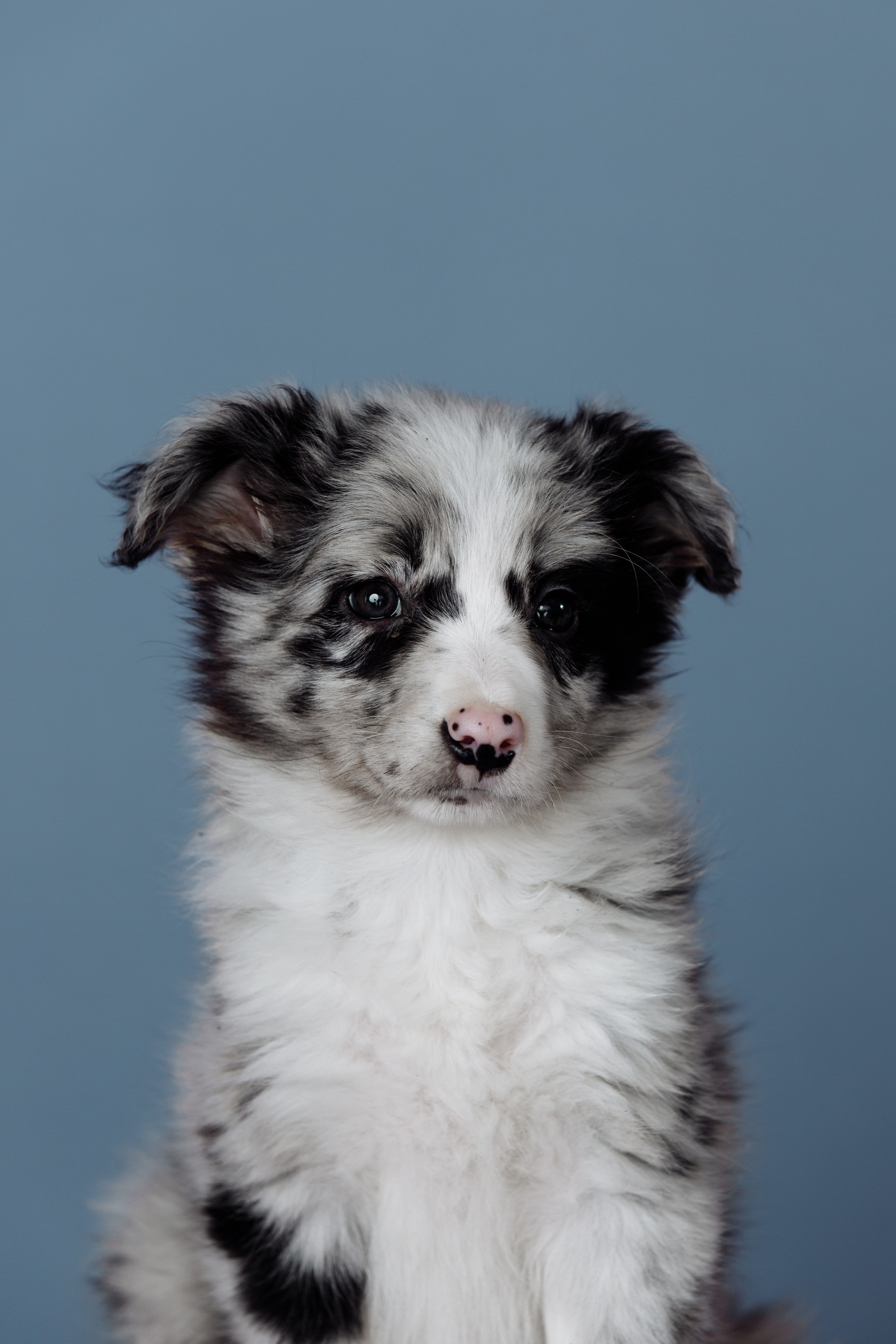 Март. Весна. 22. О нас