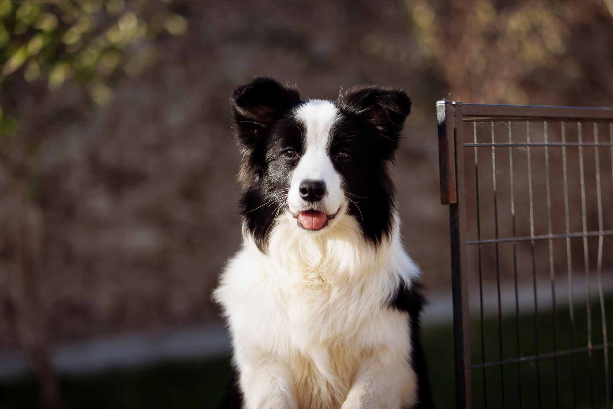 У дома с большой компанией от мала до велика. О нас