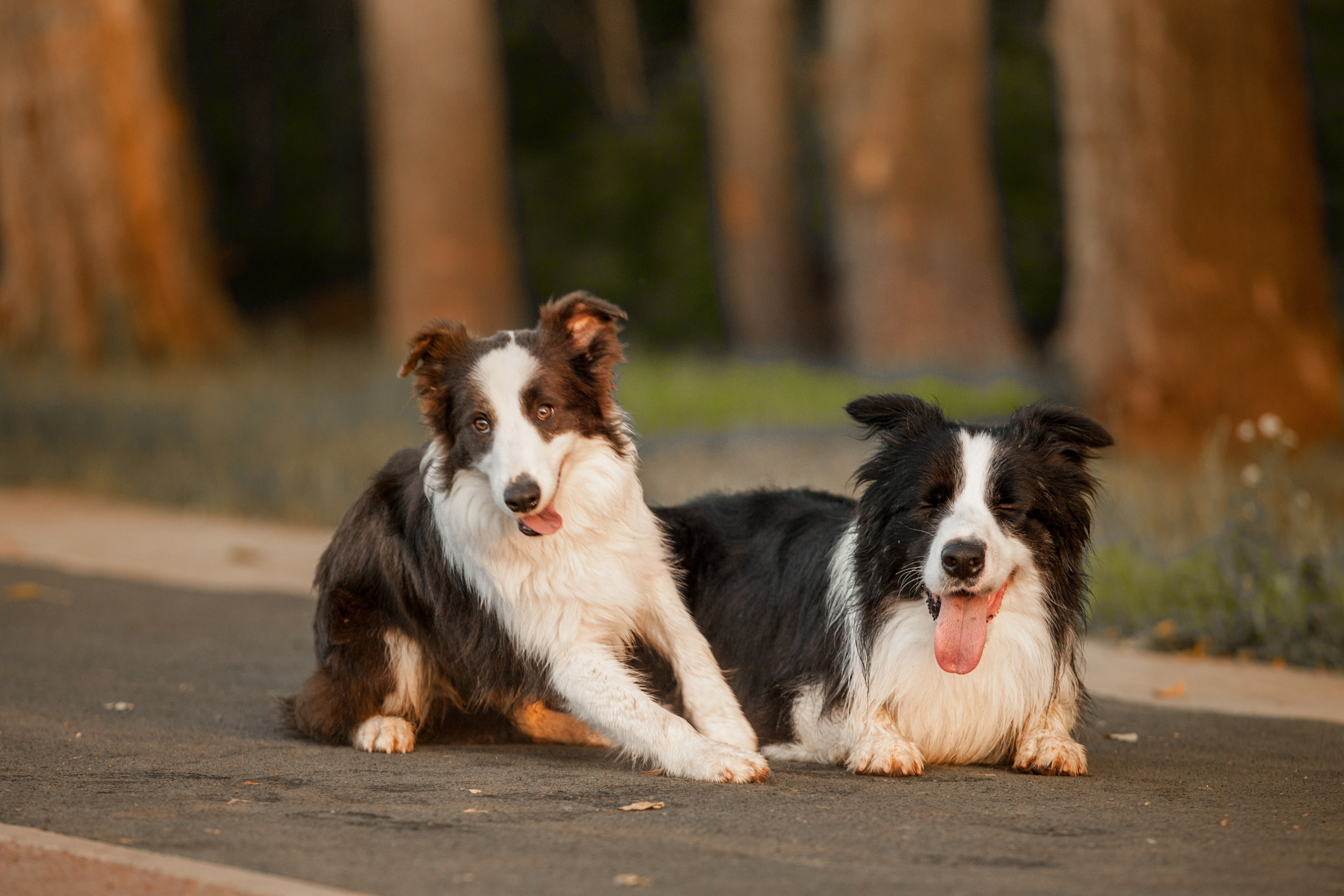 Сочный рассвет, на который решились. О нас