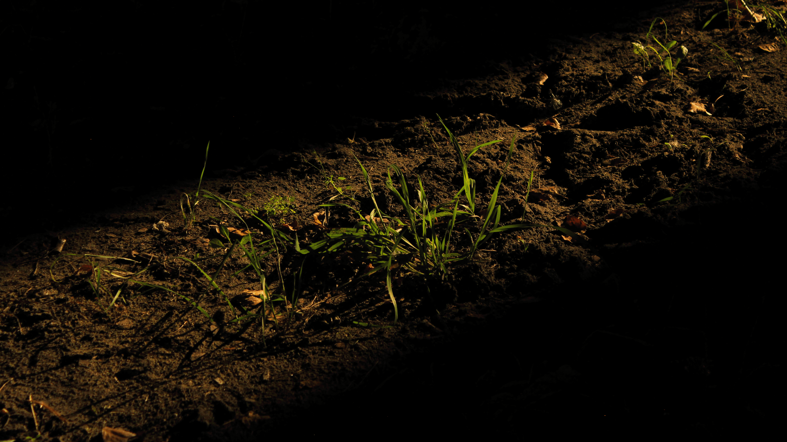 TMN summer '24. Фотограф/дизайнер в Екатеринбурге Хитрый Дмитрий