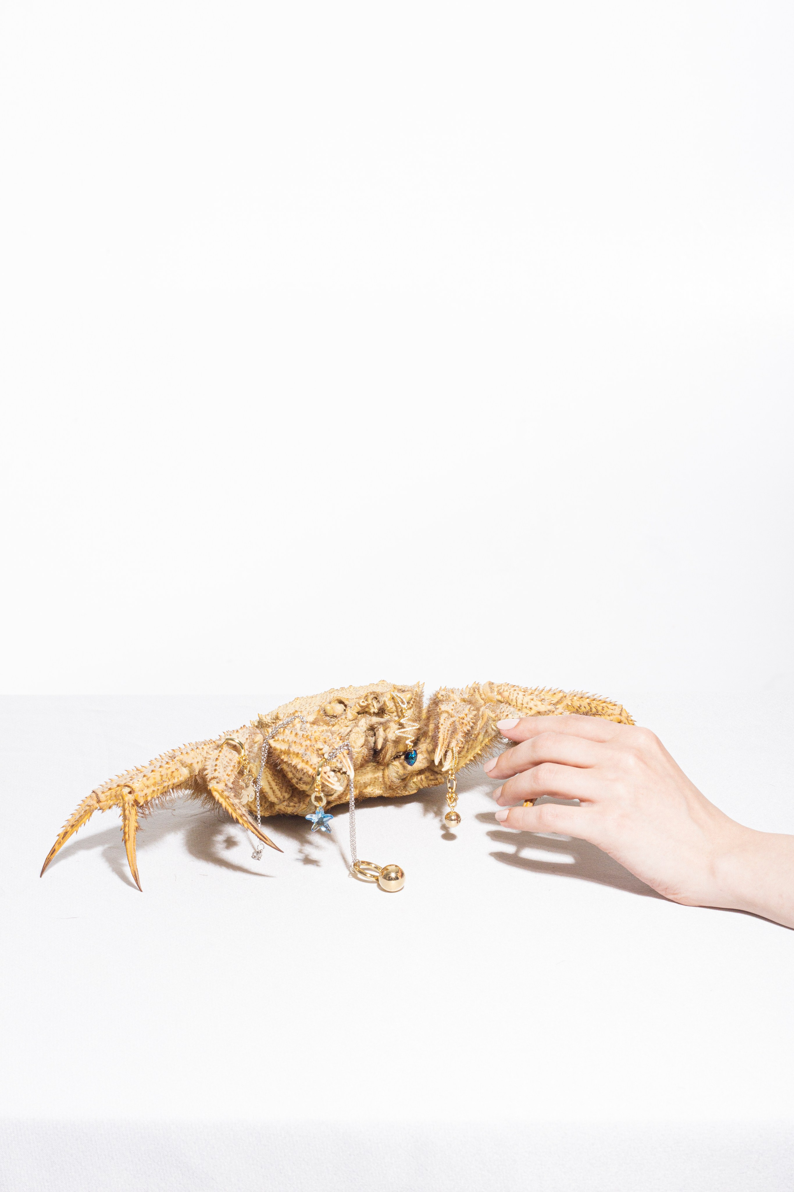 Бижутерия. Концептуальный фотограф Шлыкова Ольга