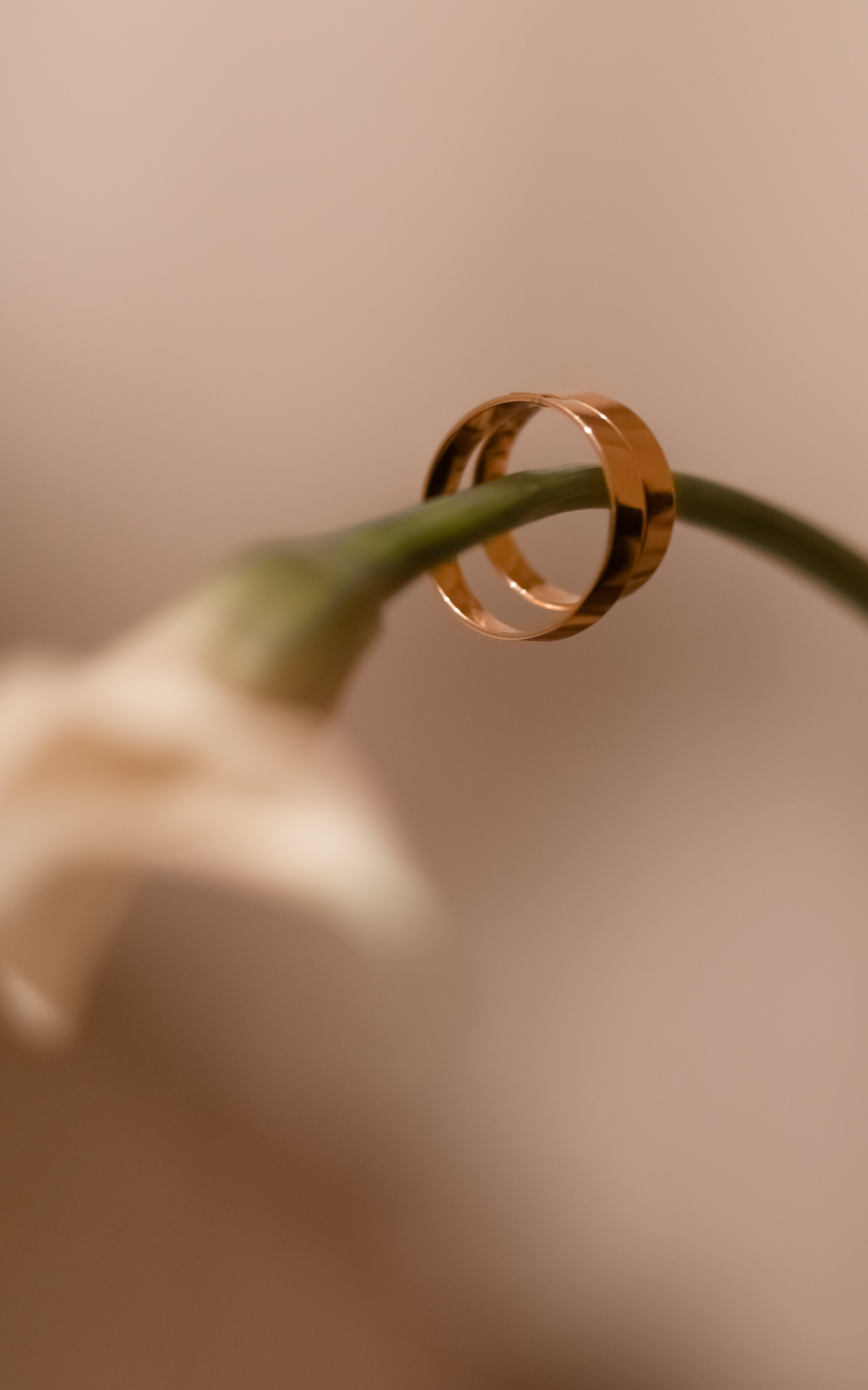 Свадьба. Фотограф Светлана Воронцова