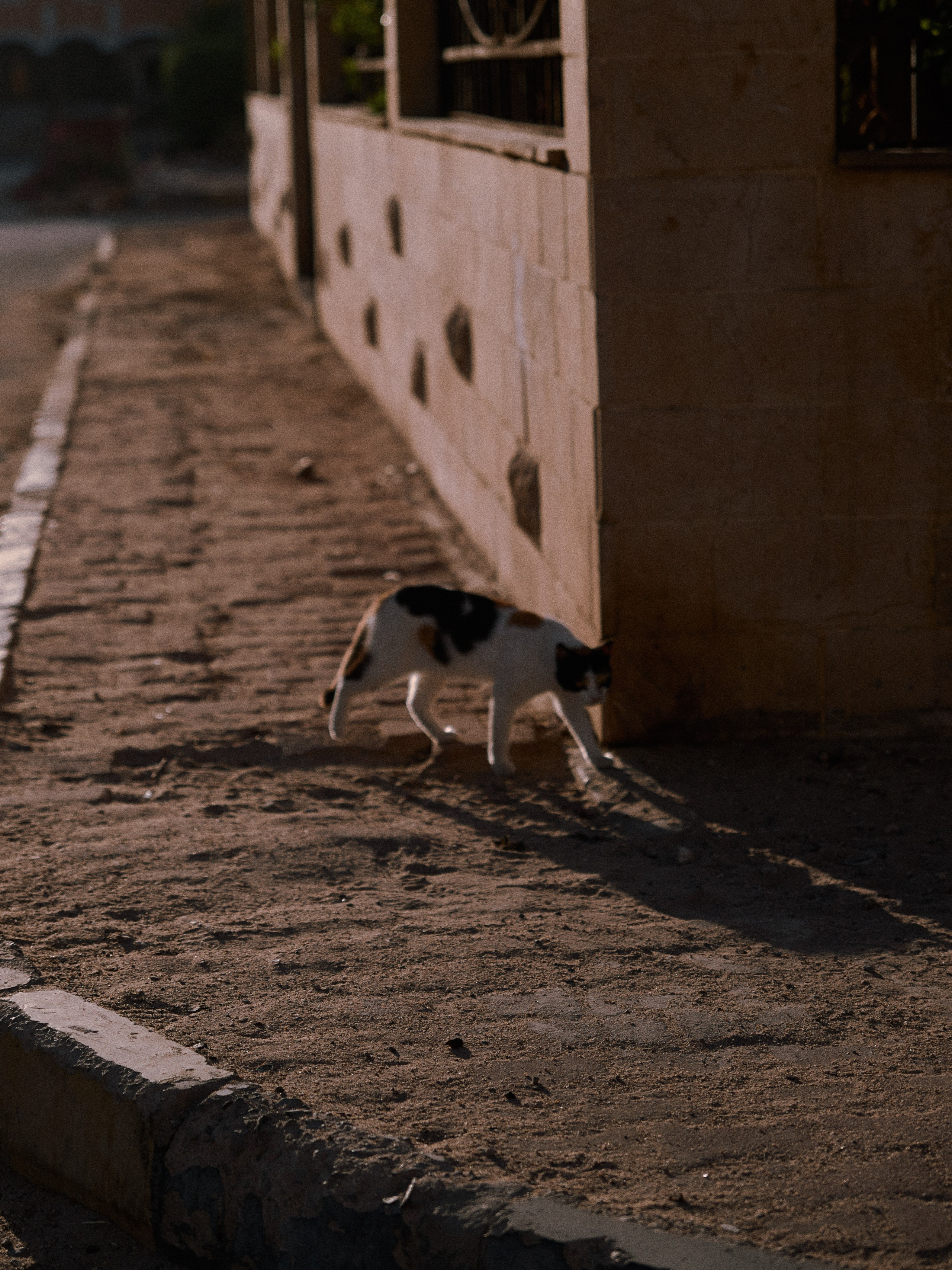 Диптих. Jorgis — фотограф в Хургаде / обучение фотографии