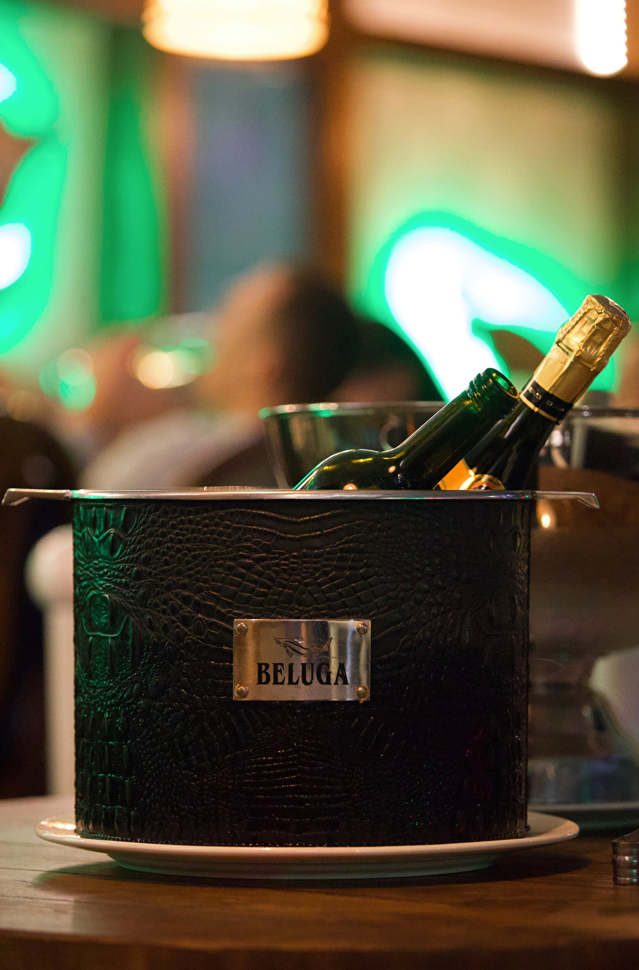 КОКОМО 27.12.23. Репортажный фотограф Анапа