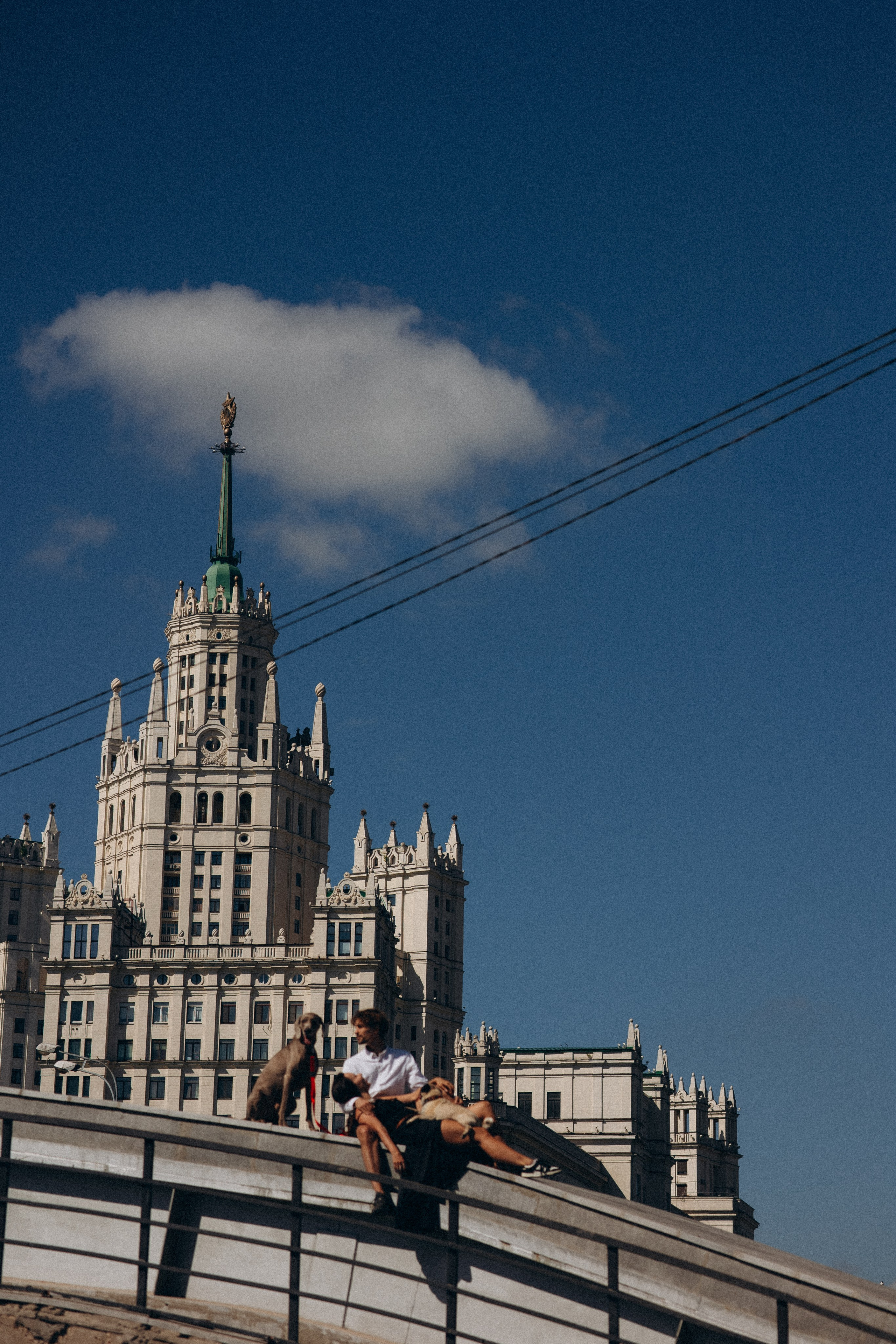 Джони, Оскар и их ро. Фотораф — анималист Мария Шистка