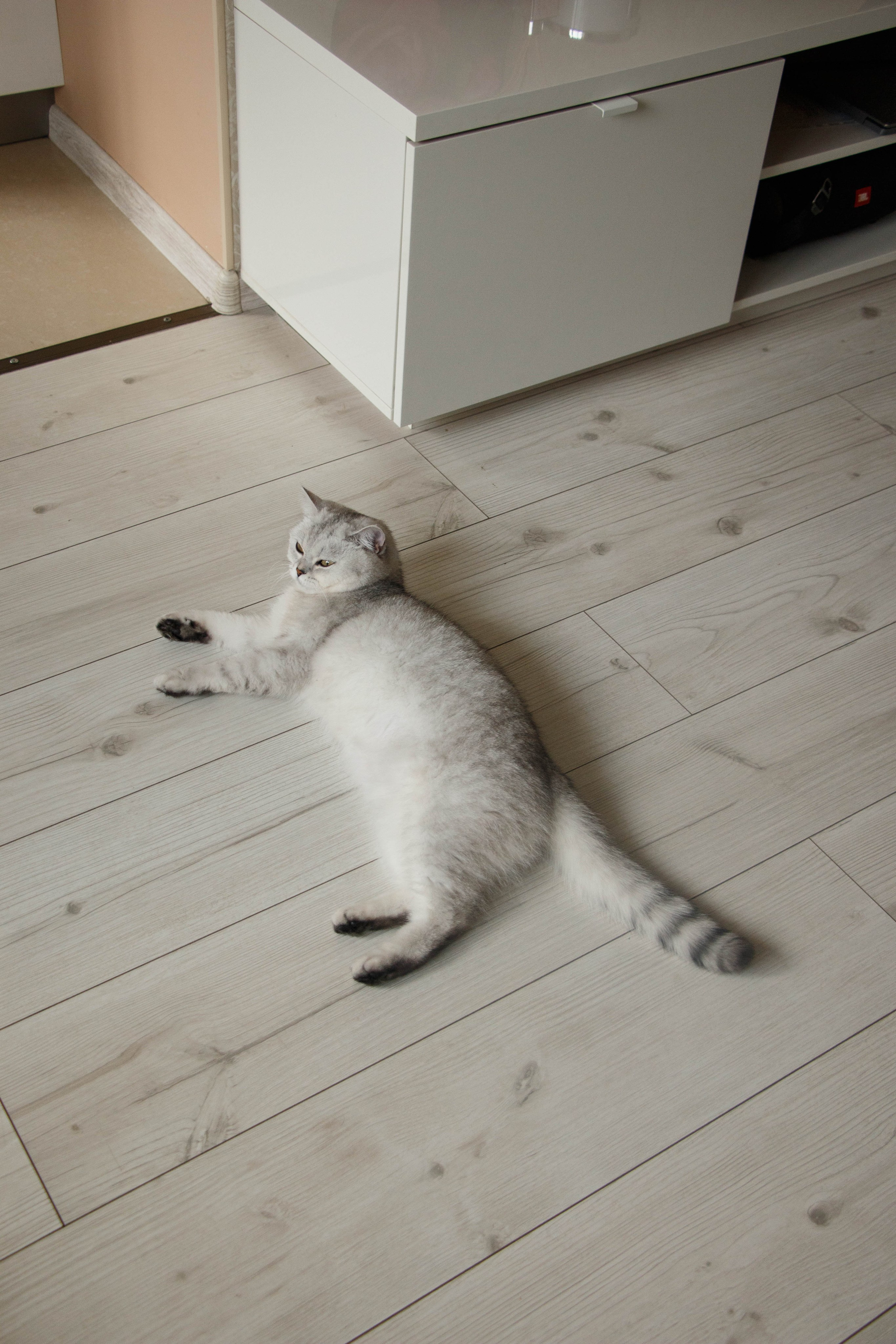 NASTYA & KITTI. Бережно сохраняю ваши чувства и истории на своих фотографиях