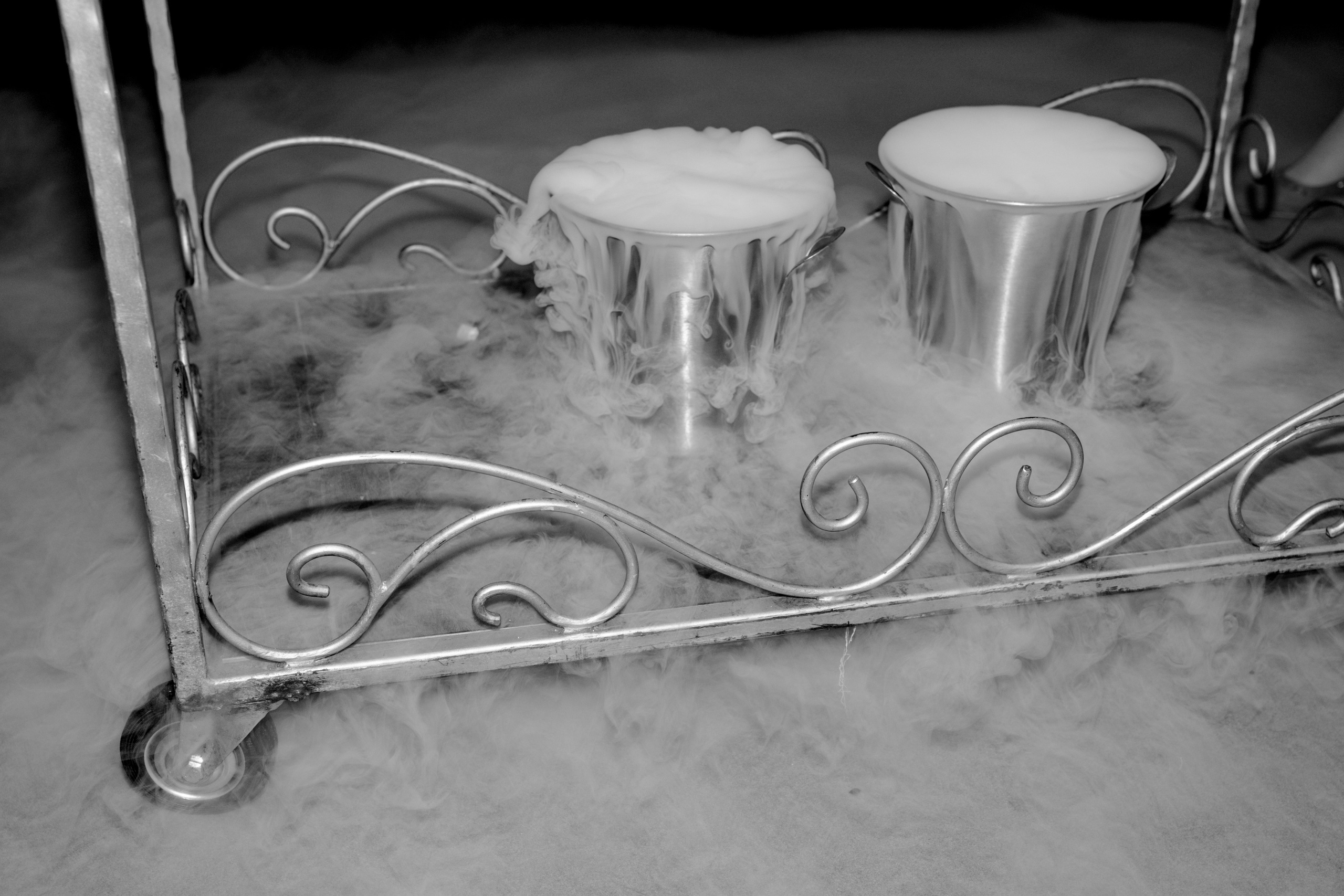 Открытие конкурса Мисс и Миссис бизнес Санкт-Петербург и ЛО 2024. Фотограф Санкт-Петербург/Гомель Виктория Петрова