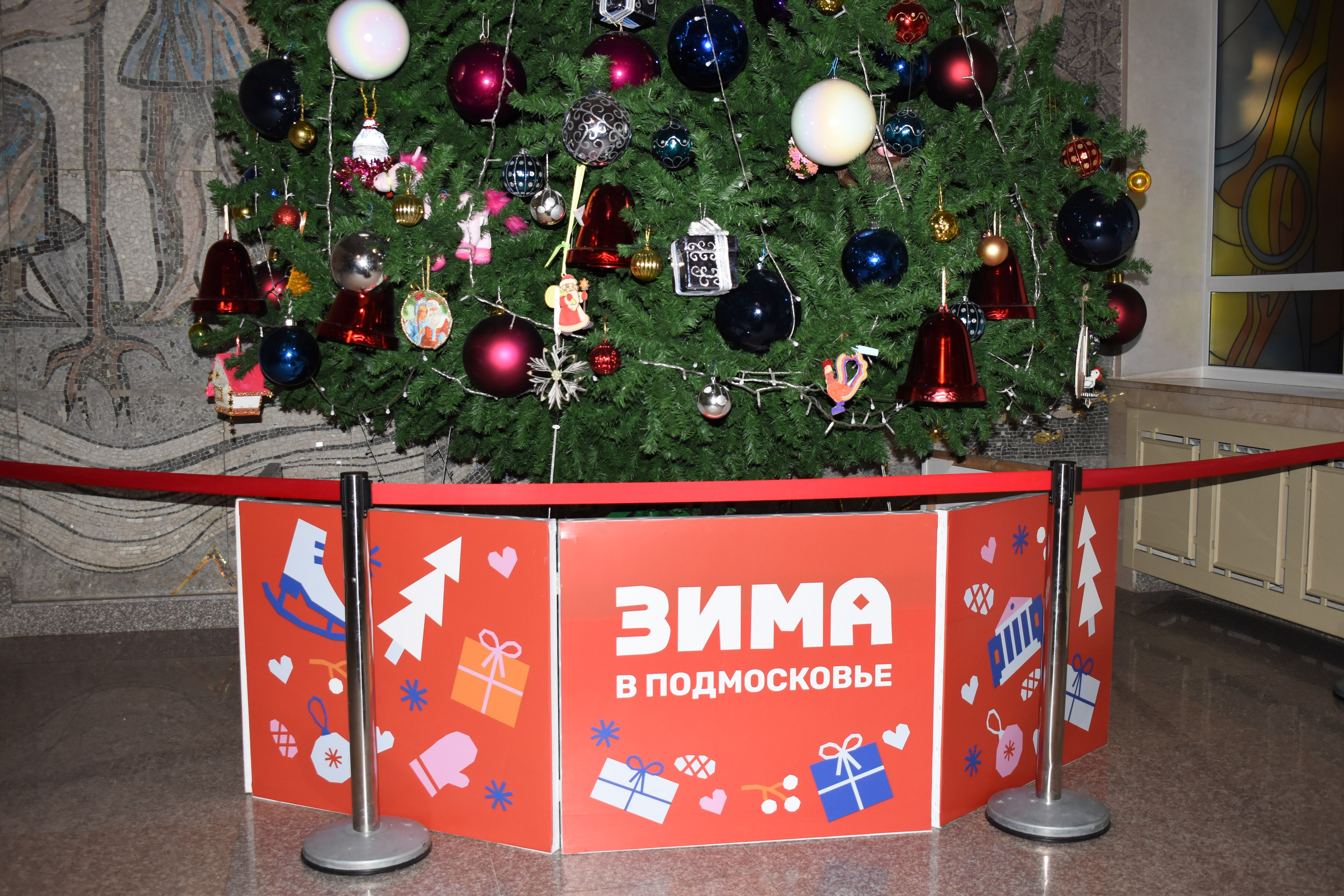 «Зима в Подмосковье» в ДК «Сатурн». Фотограф Анатолий Мелентьев