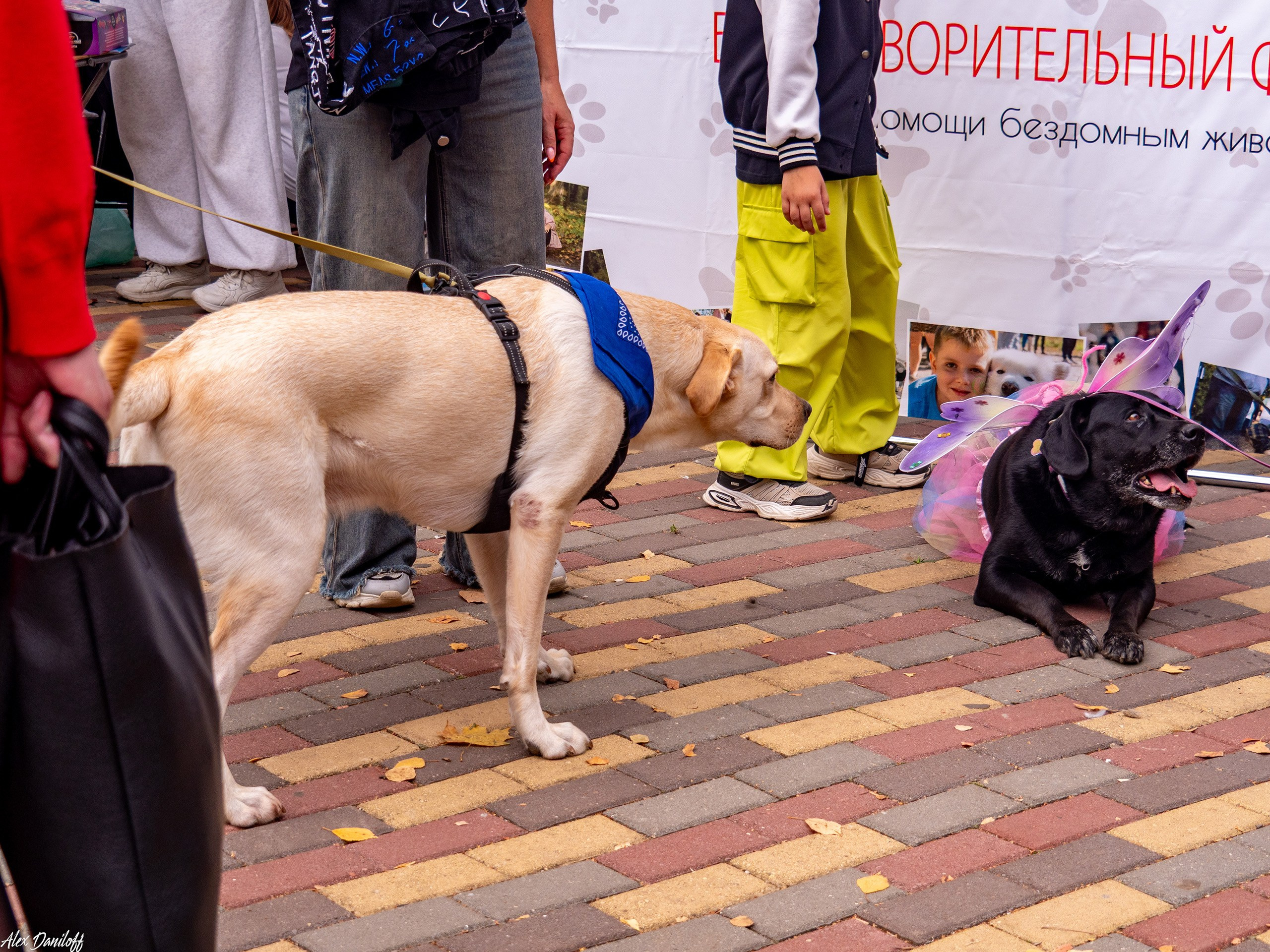 Обнимака 2025. Муром-Инфо. Новости культуры, образования, спорта в городе Муром