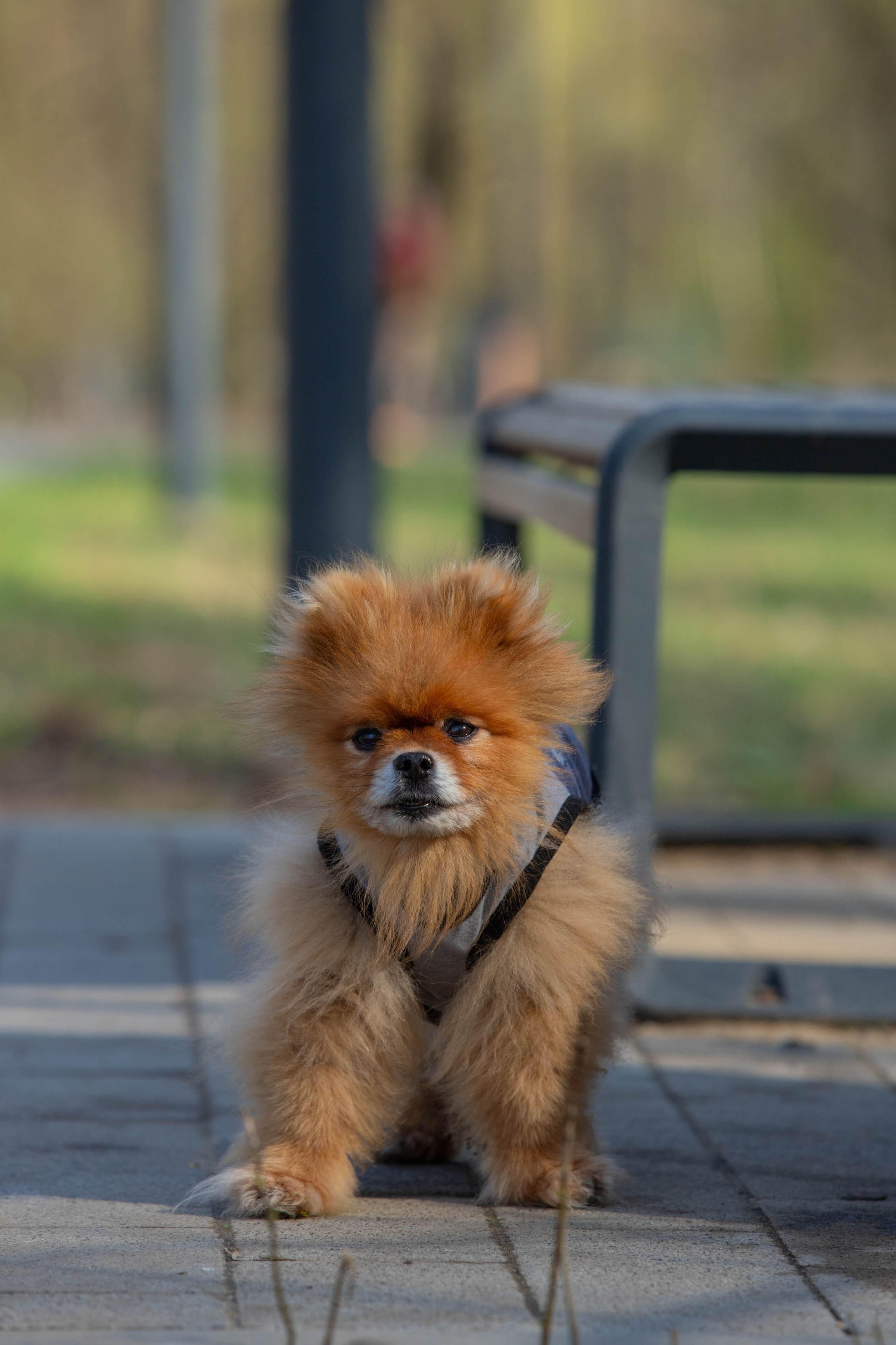 5 верст Бабушкинская. Александра Мельниченко/ Бегающий фотограф