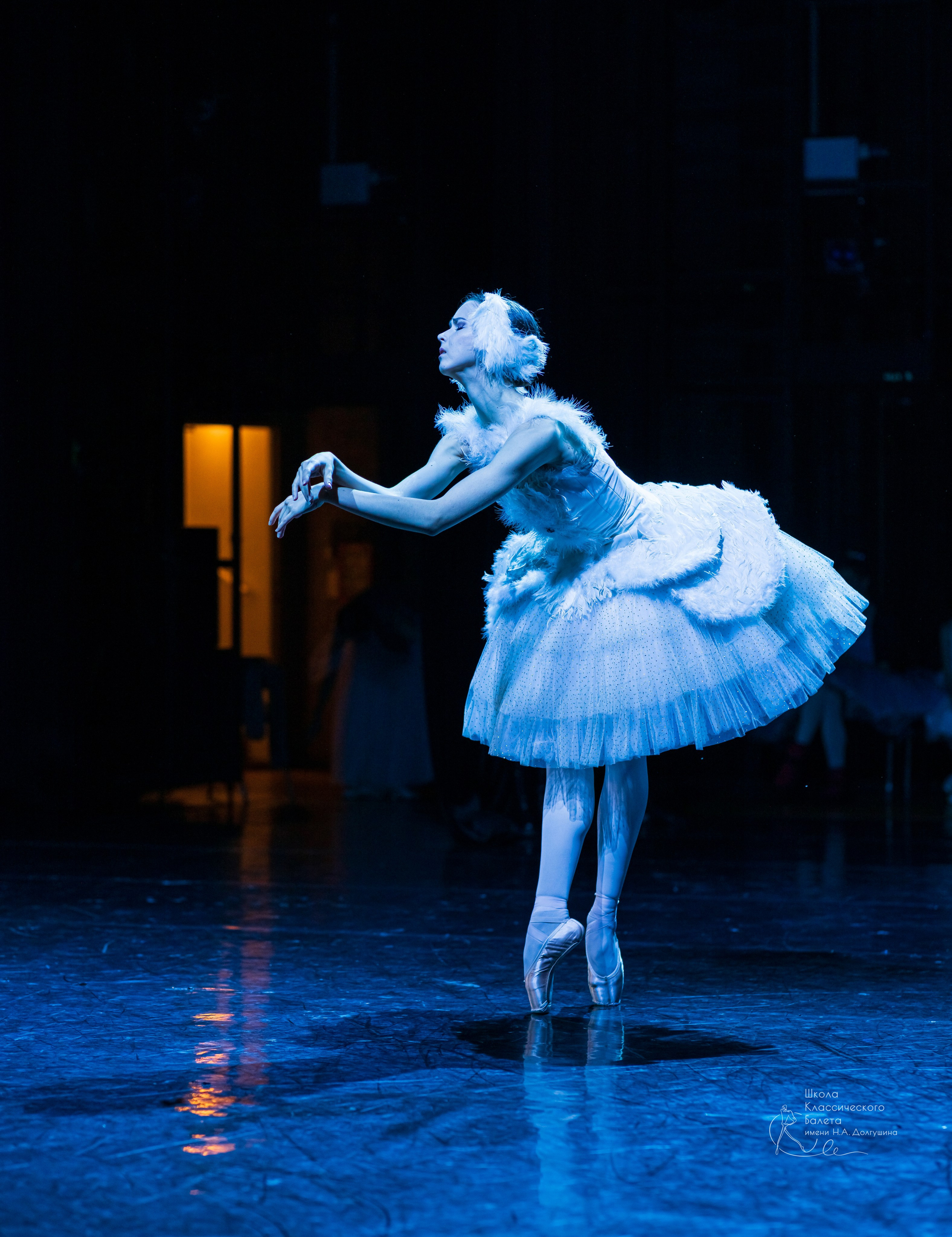Репортажная съёмка концертов, открытых уроков, балетов. Балетный фотограф Алина Ханько — Душа Балета