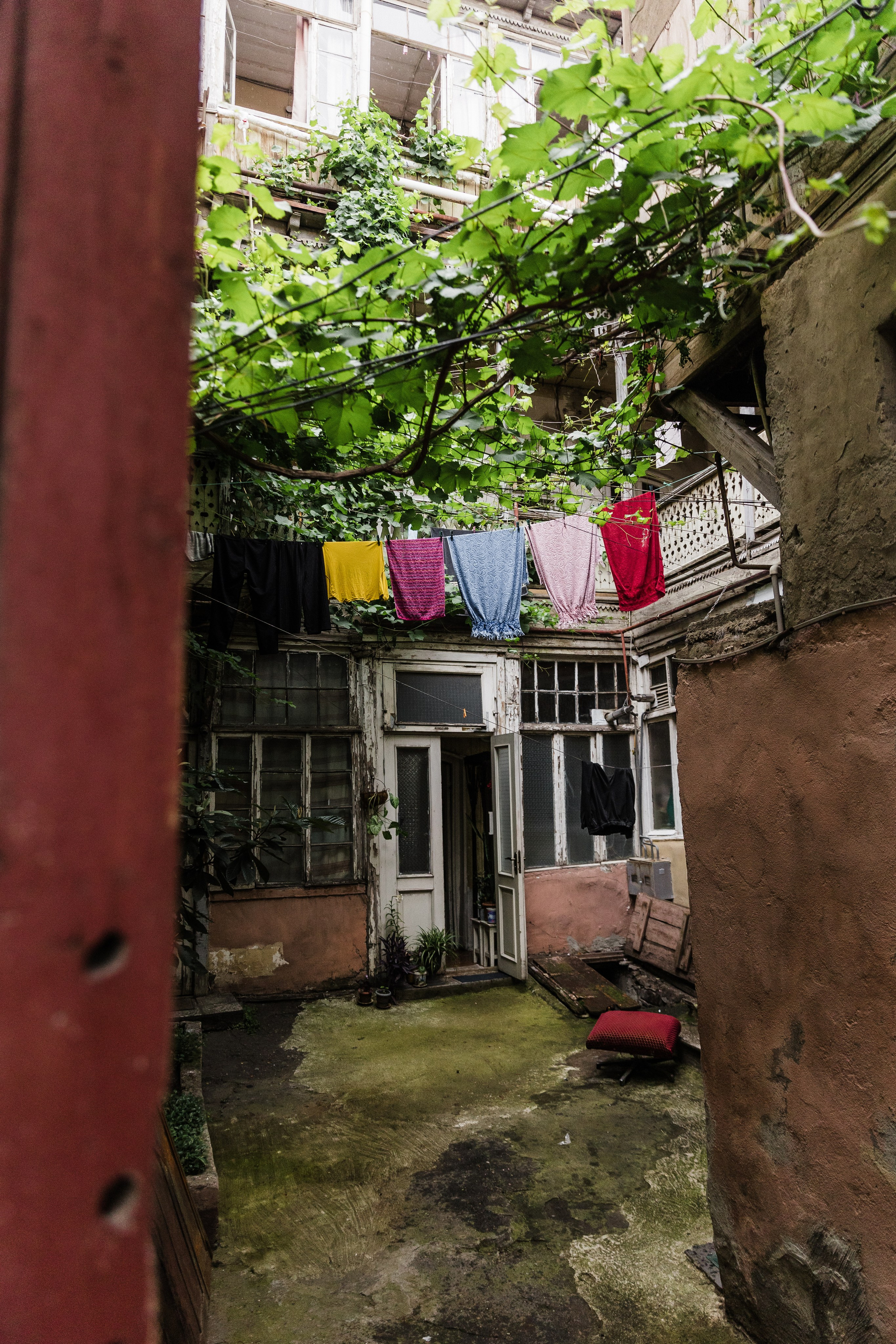 Georgia. Свадебный и семейный фотограф в Краснодаре Роман Моско