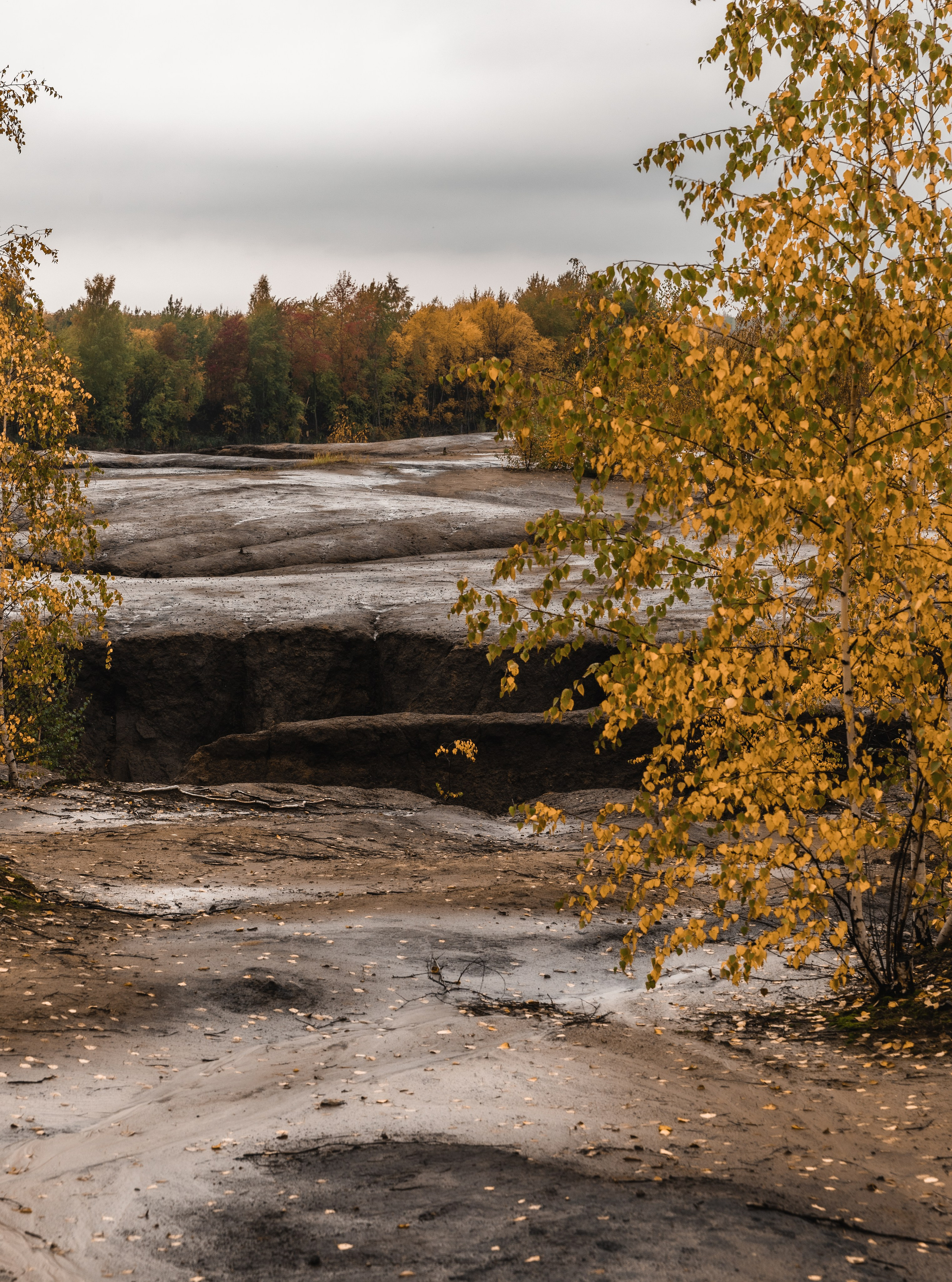 Кондуки. Октябрь 2023. Фотографии