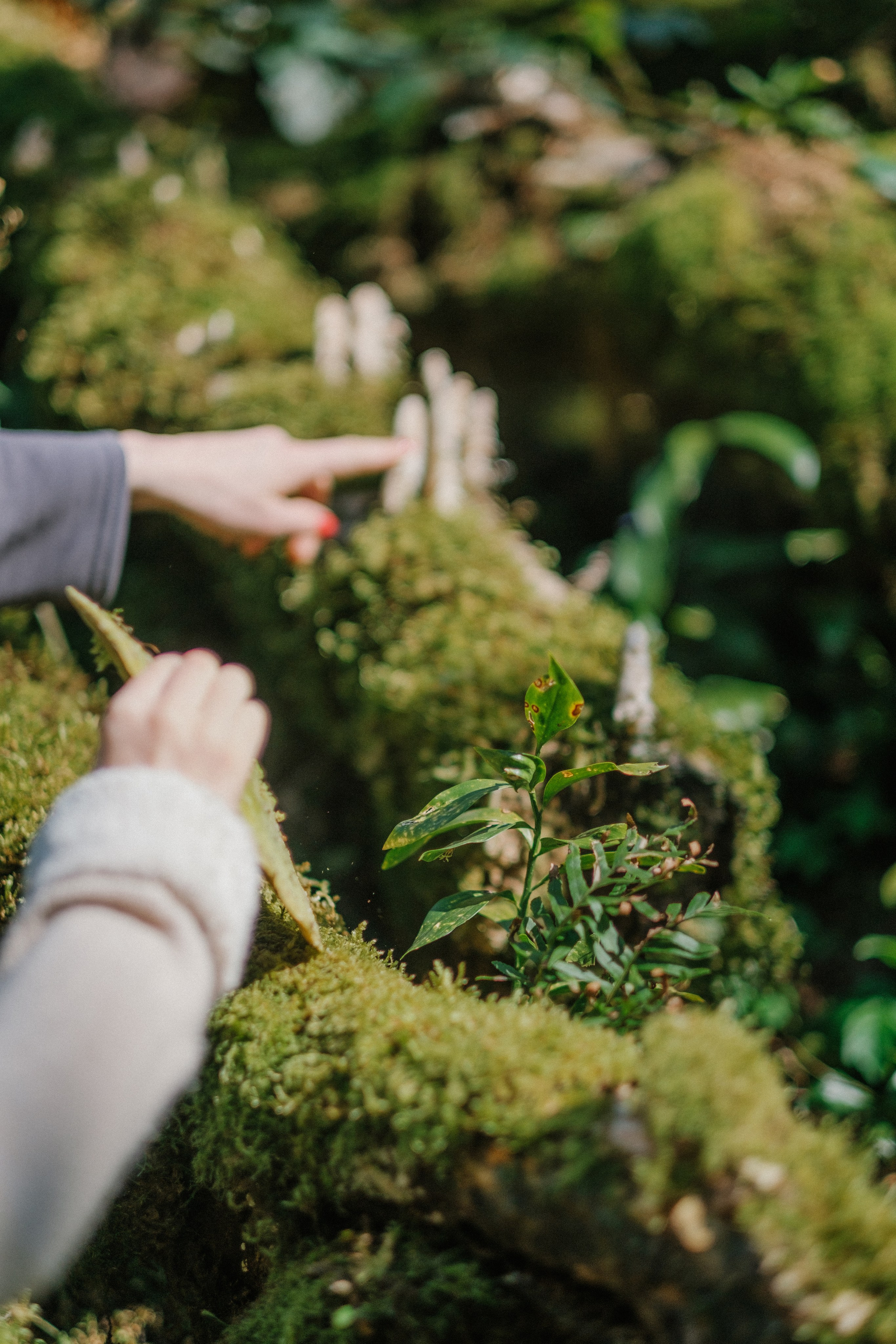 Белые скалы. Свадебный Видеограф Фотограф в Сочи