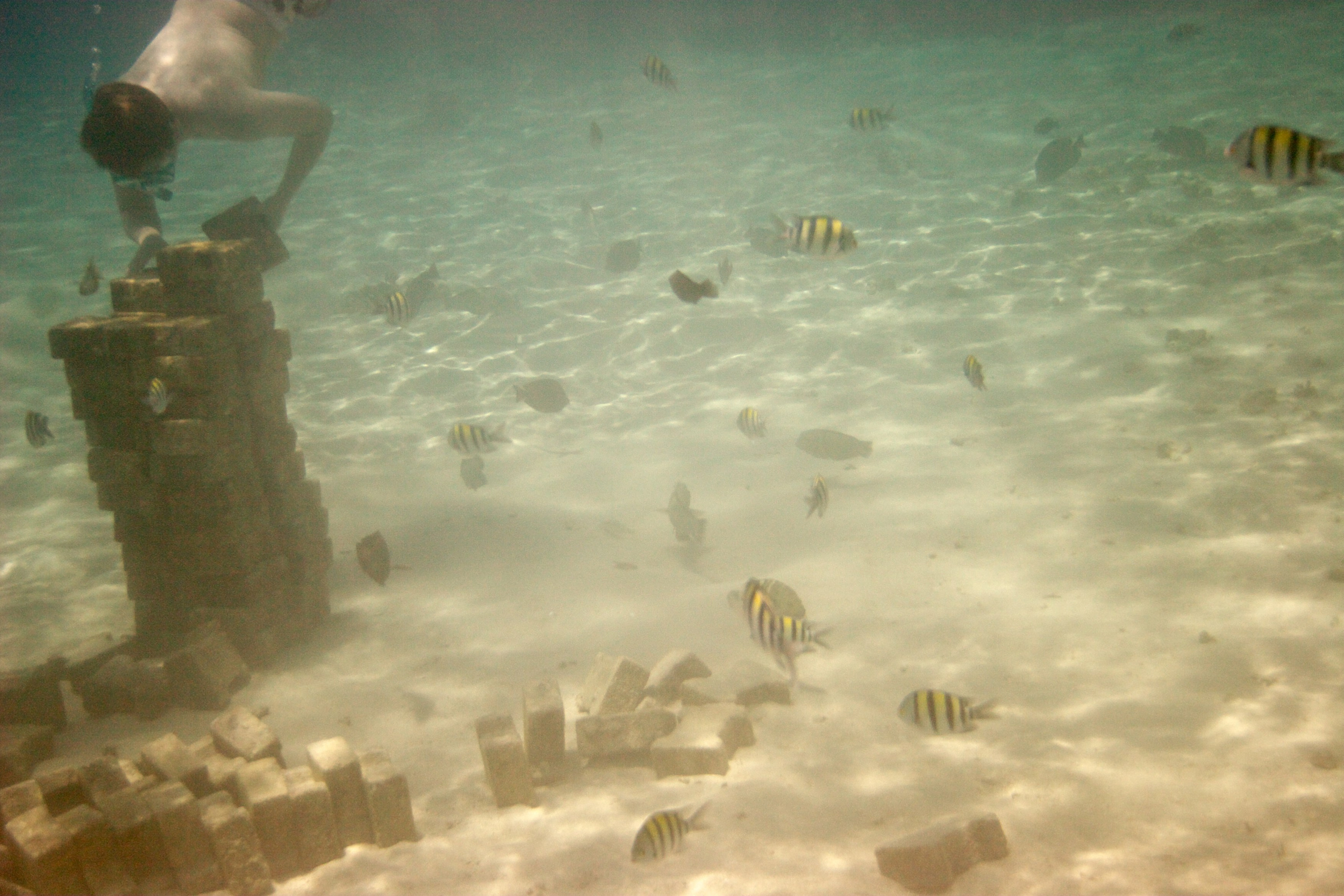 Под водой. Миша Печёнкин | фотография